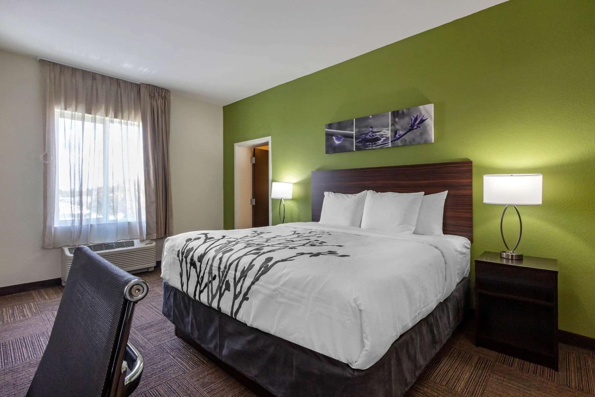 Sleep Inn & Suites Tampa South gallery photo in Tampa, FL — image 36