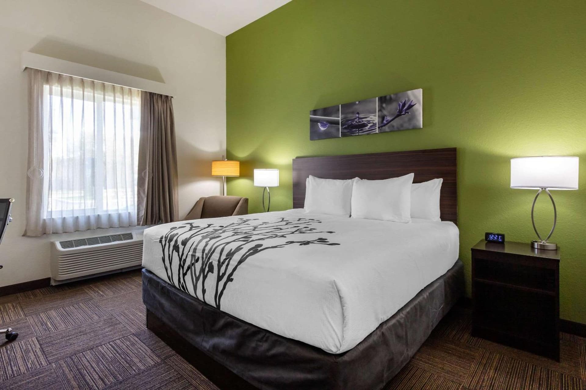Sleep Inn & Suites Tampa South gallery photo in Tampa, FL — image 27