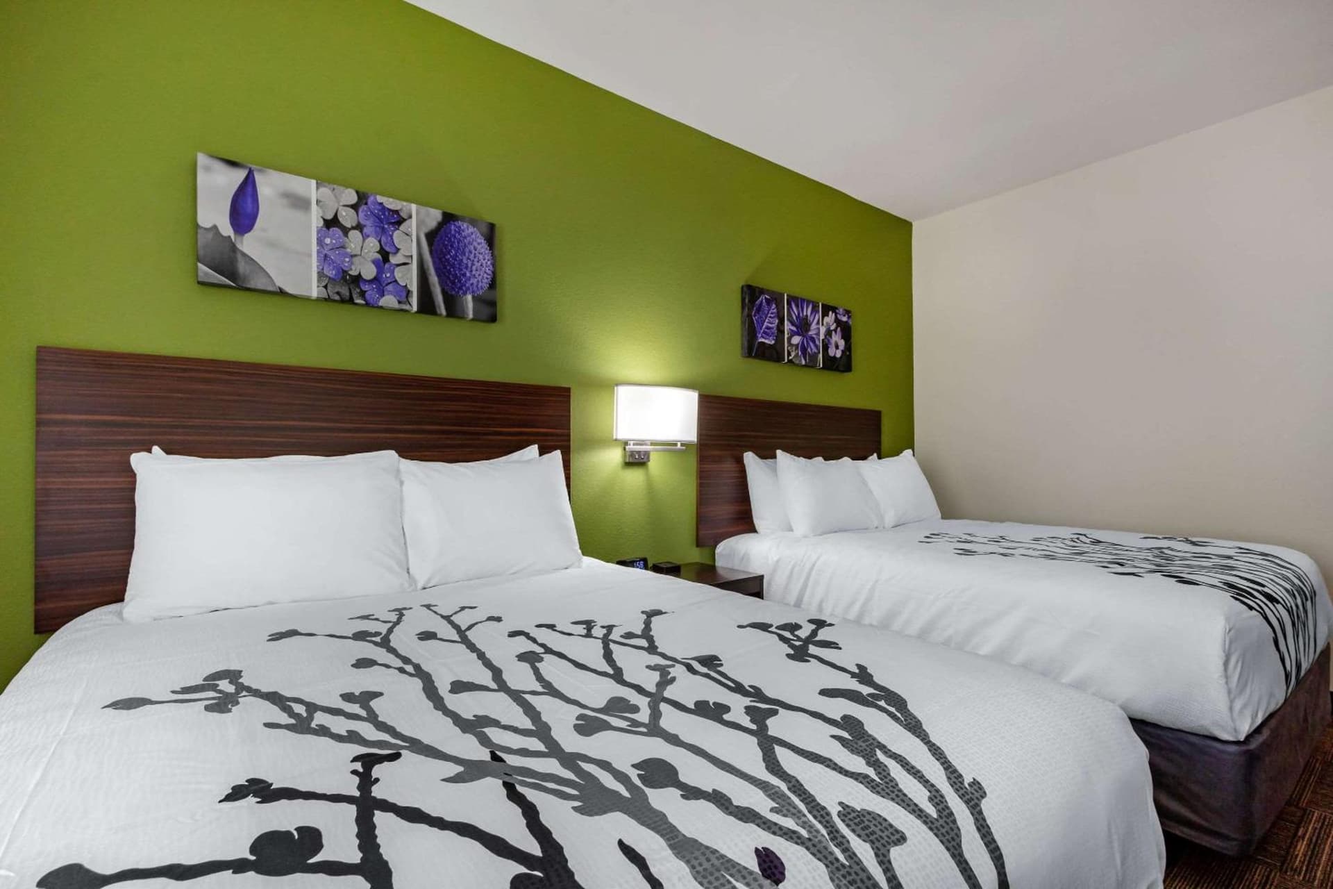 Sleep Inn & Suites Tampa South gallery photo in Tampa, FL — image 5