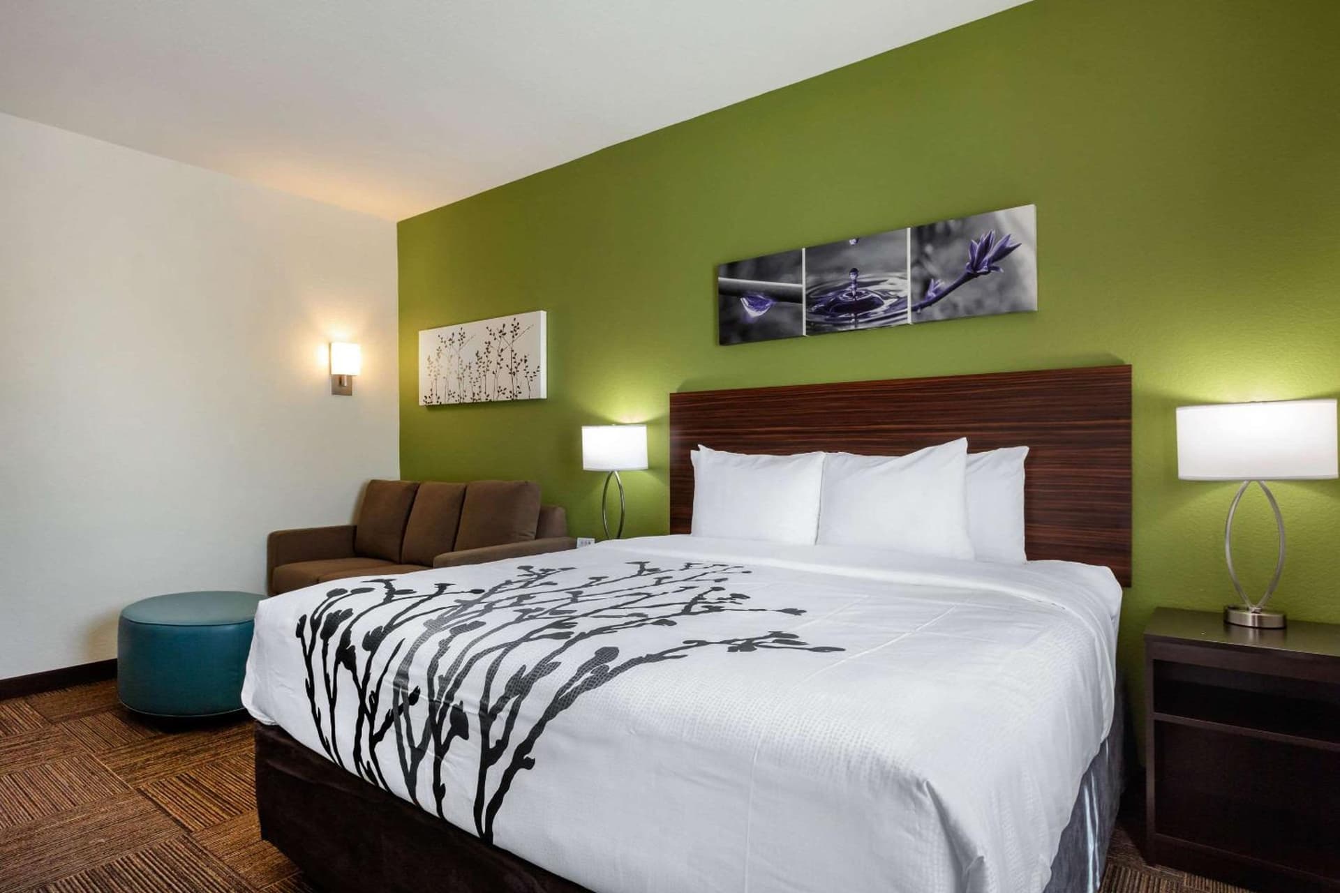 Sleep Inn & Suites Tampa South gallery photo in Tampa, FL — image 51