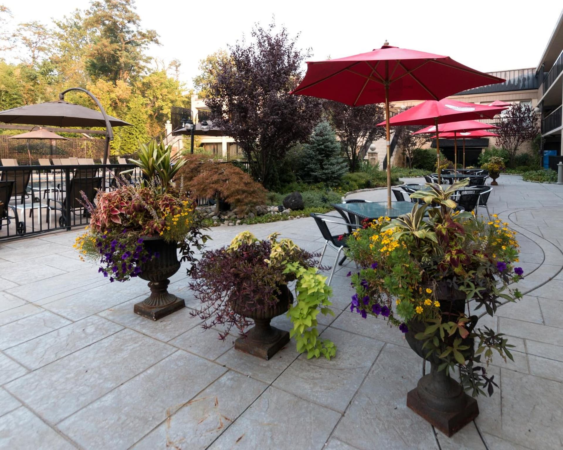 New Hope Inn & Suites gallery photo in New Hope, PA — image 39