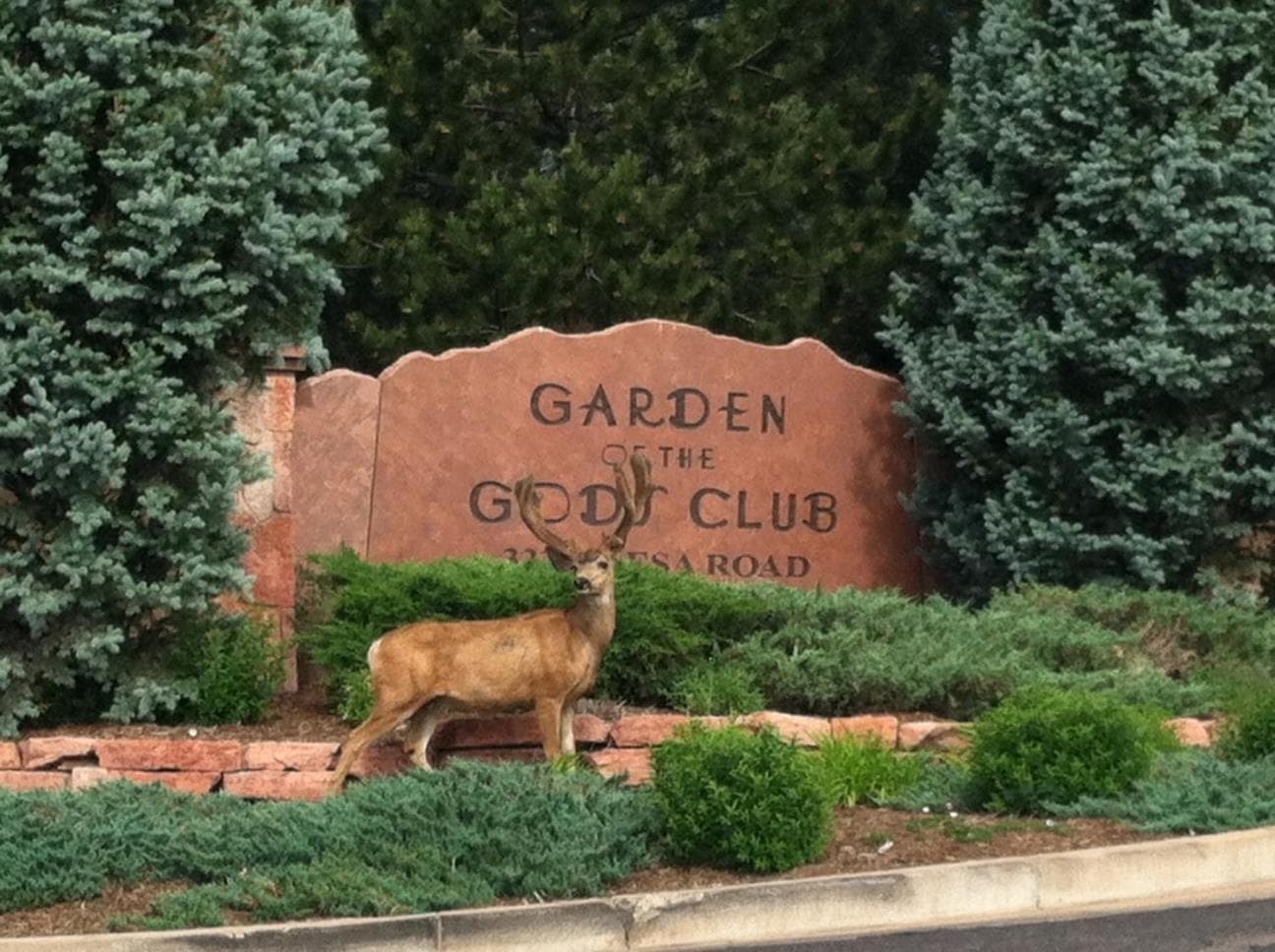Garden of the Gods Resort & Club gallery photo in Colorado Springs, CO — image 56