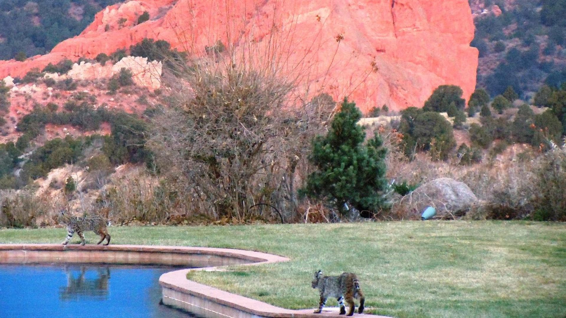 Garden of the Gods Resort & Club gallery photo in Colorado Springs, CO — image 9