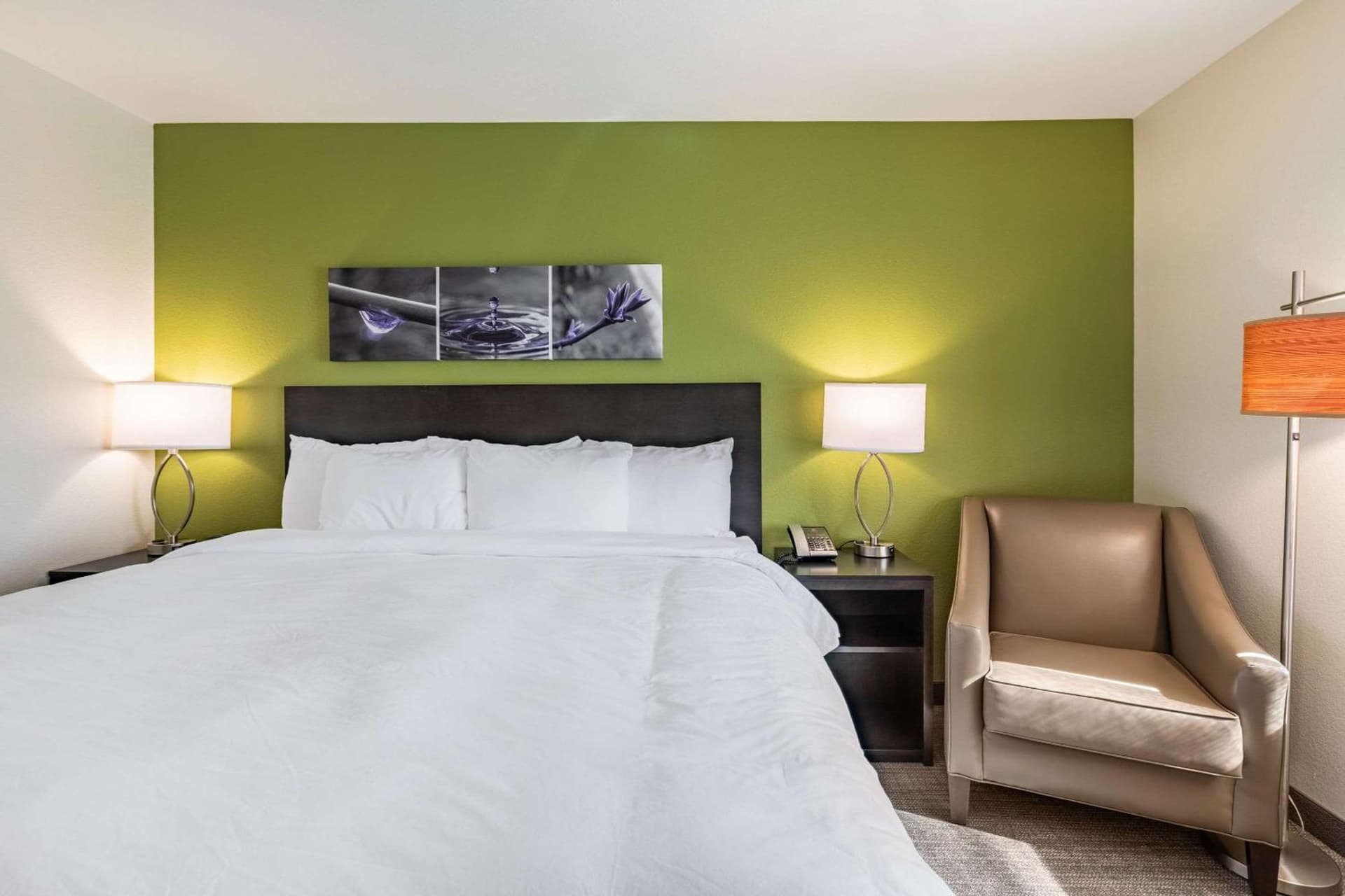 Sleep Inn & Suites Mt Hope near Auction & Event Center gallery photo in Millersburg, OH — image 13