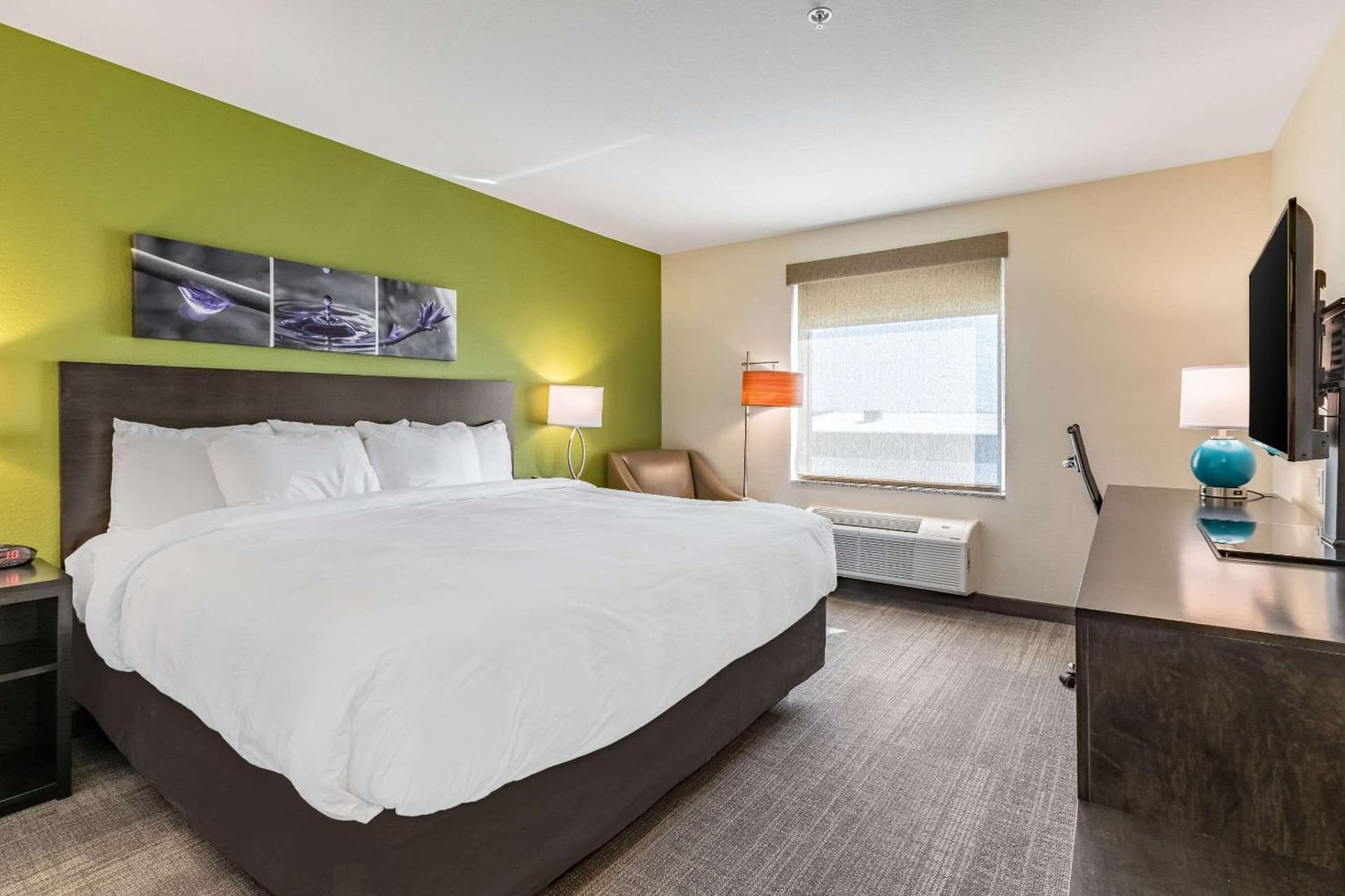 Sleep Inn & Suites Mt Hope near Auction & Event Center gallery photo in Millersburg, OH — image 21