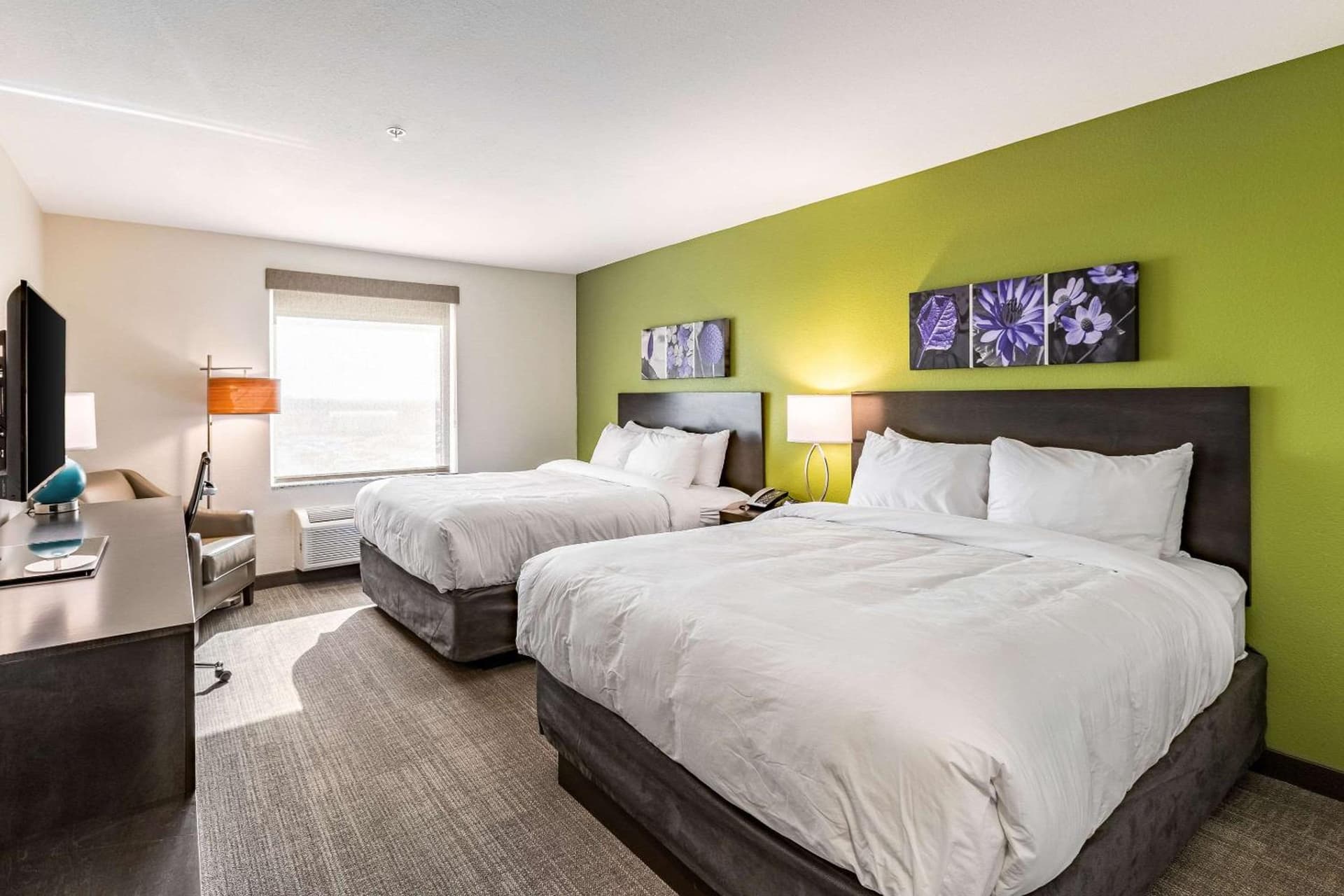 Sleep Inn & Suites Mt Hope near Auction & Event Center gallery photo in Millersburg, OH — image 23