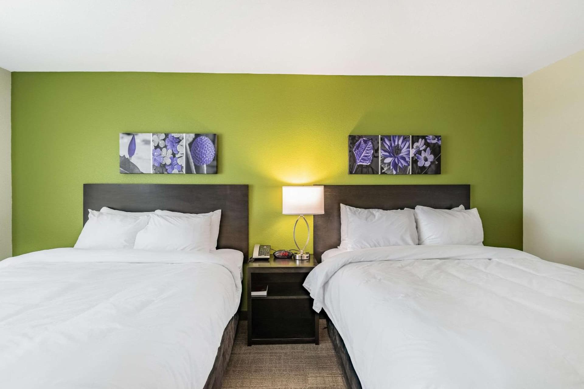 Sleep Inn & Suites Mt Hope near Auction & Event Center gallery photo in Millersburg, OH — image 40