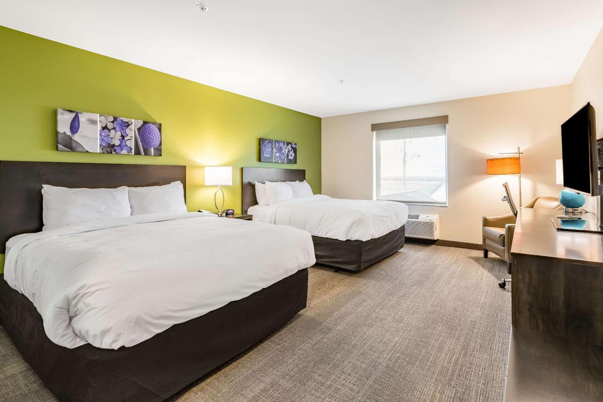 Sleep Inn & Suites Mt Hope near Auction & Event Center gallery photo in Millersburg, OH — image 48