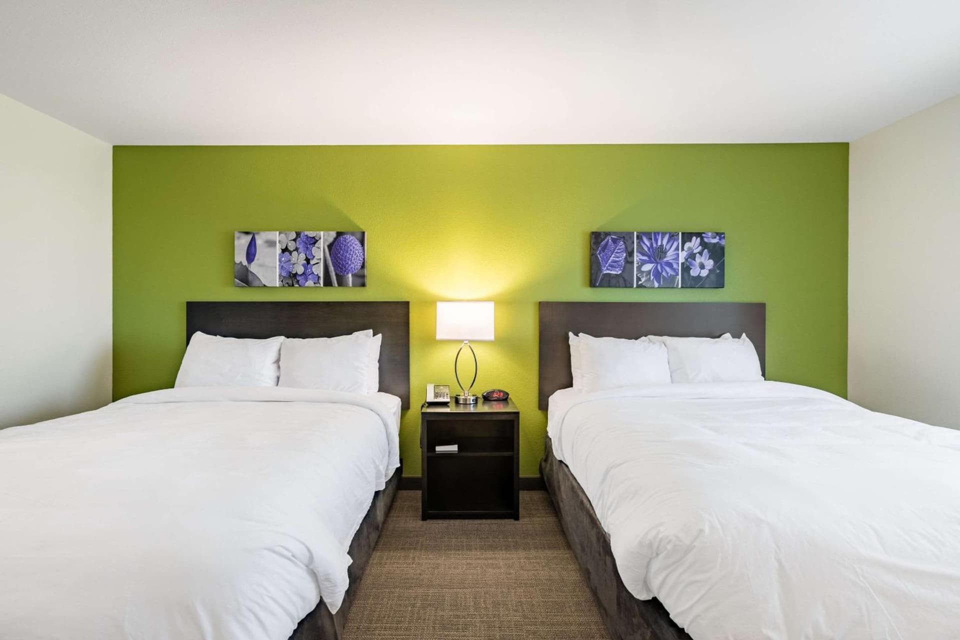 Sleep Inn & Suites Mt Hope near Auction & Event Center gallery photo in Millersburg, OH — image 11