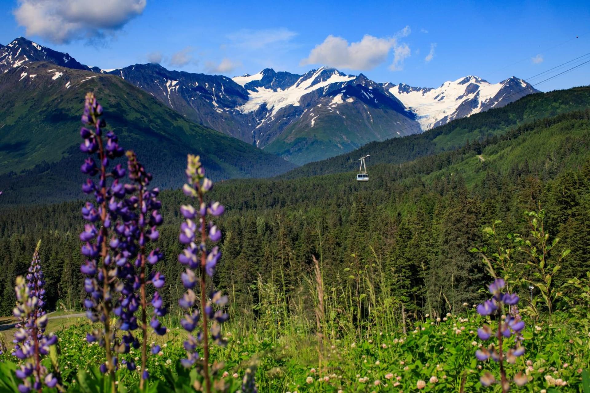 Alyeska Resort gallery photo in Girdwood, AK — image 34