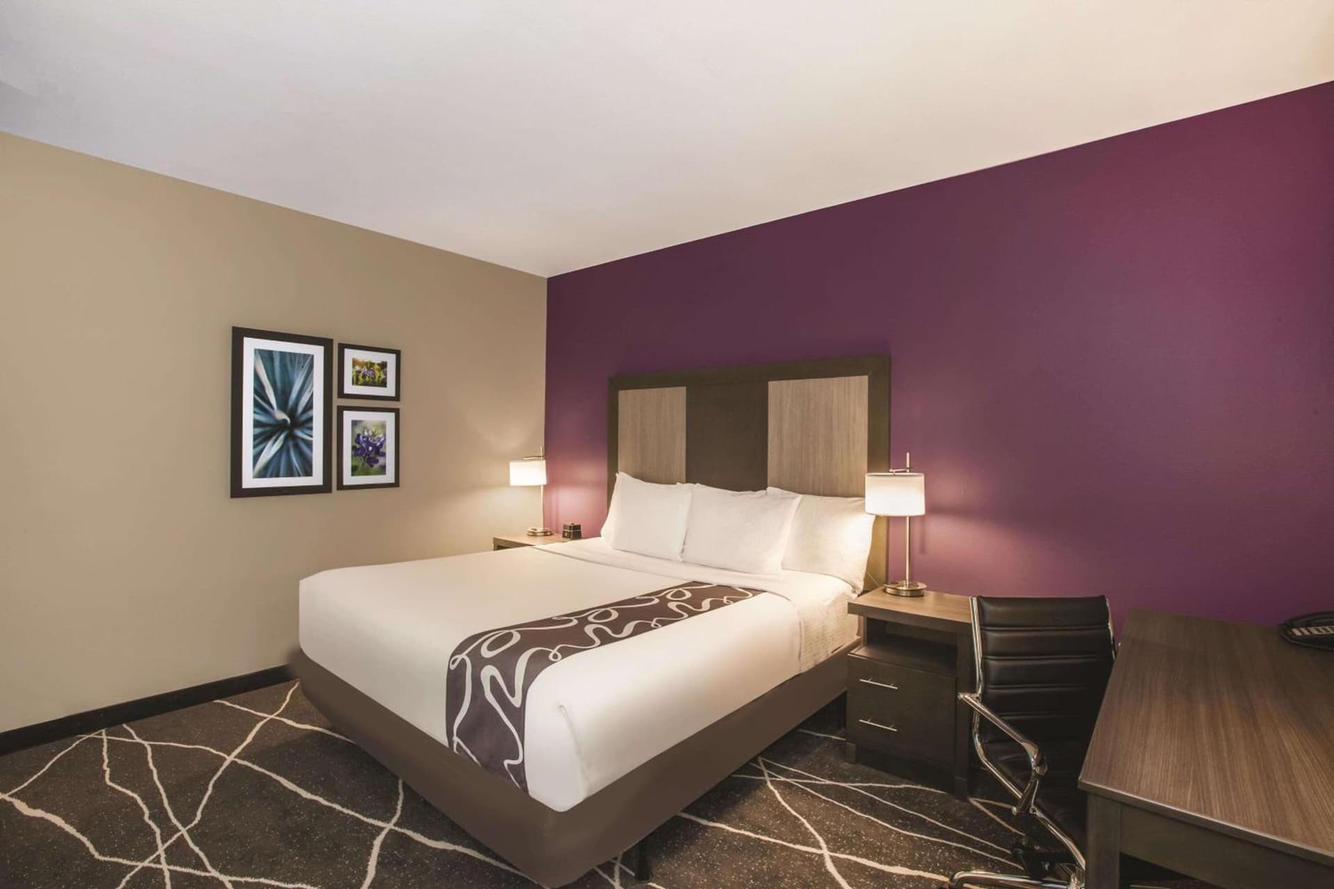 La Quinta by Wyndham Dallas Northeast-Arboretum gallery photo in Garland, TX — image 20
