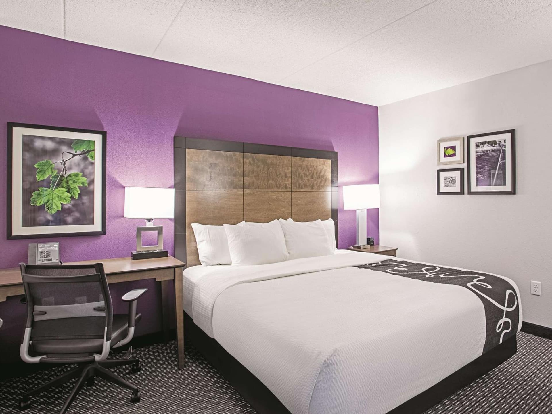 La Quinta by Wyndham Baltimore N / White Marsh gallery photo in Baltimore, MD — image 32
