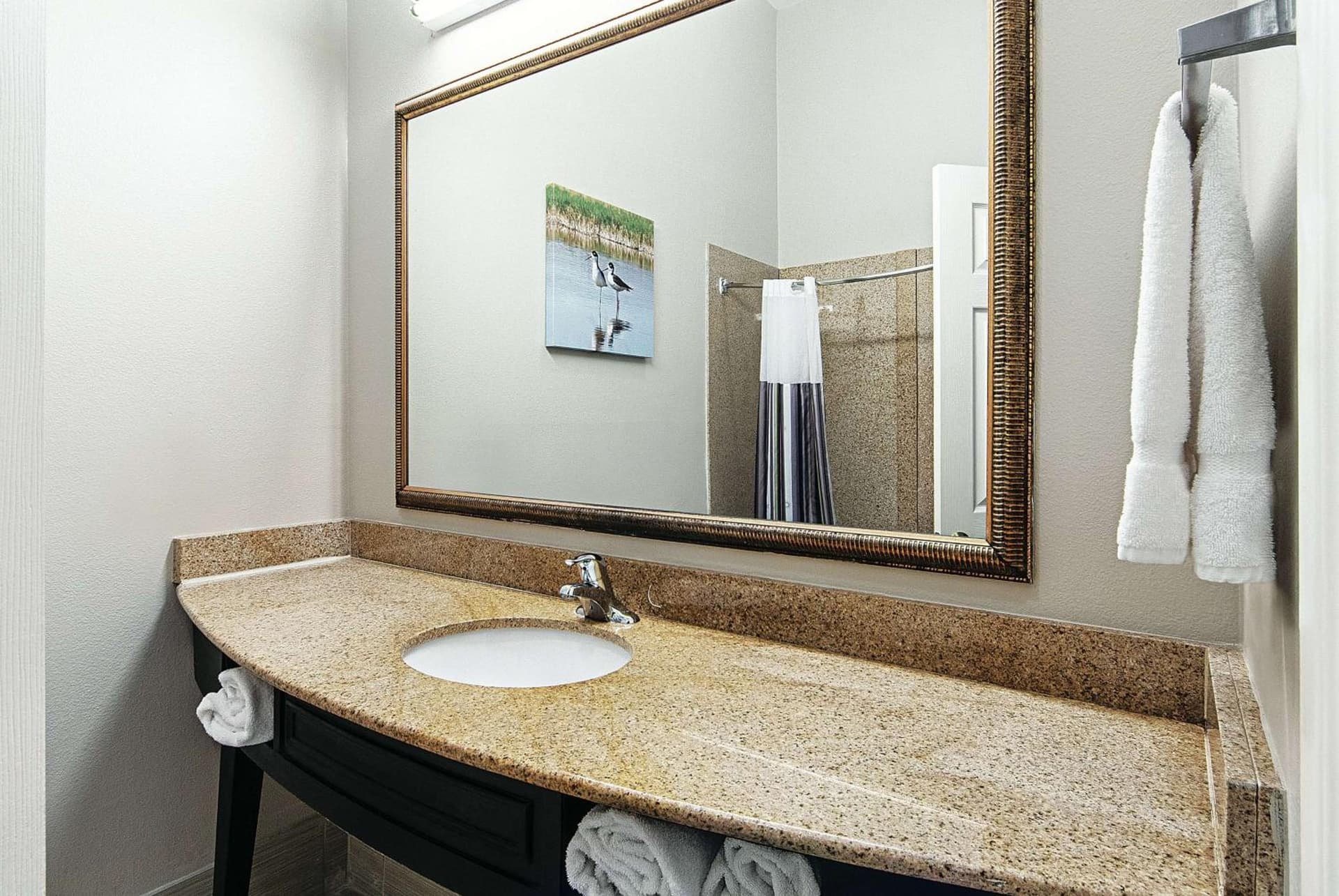 La Quinta by Wyndham Alamo-McAllen East gallery photo in Alamo, TX — image 31