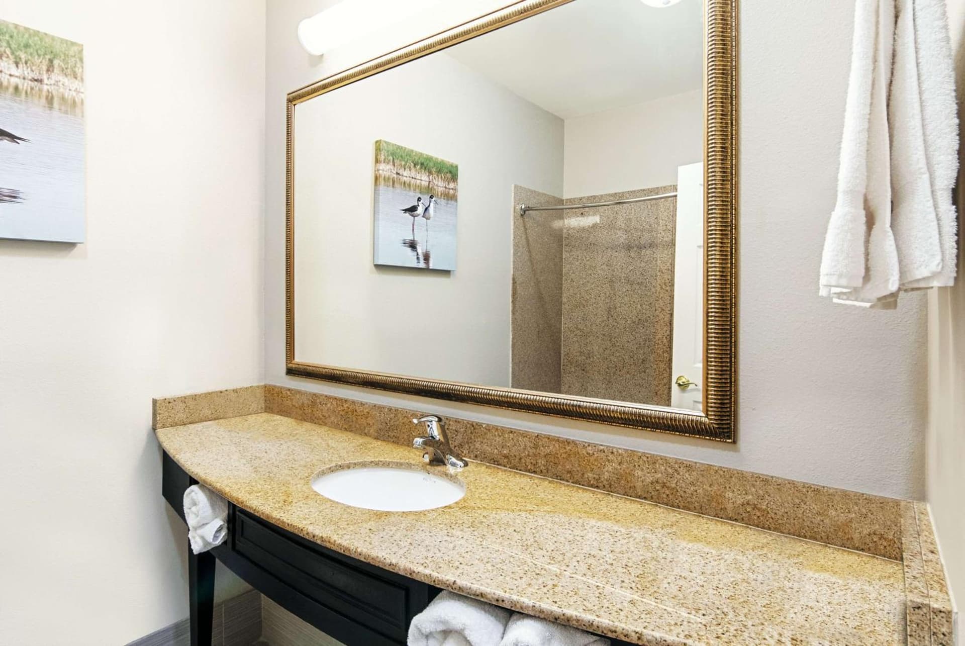 La Quinta by Wyndham Alamo-McAllen East gallery photo in Alamo, TX — image 25