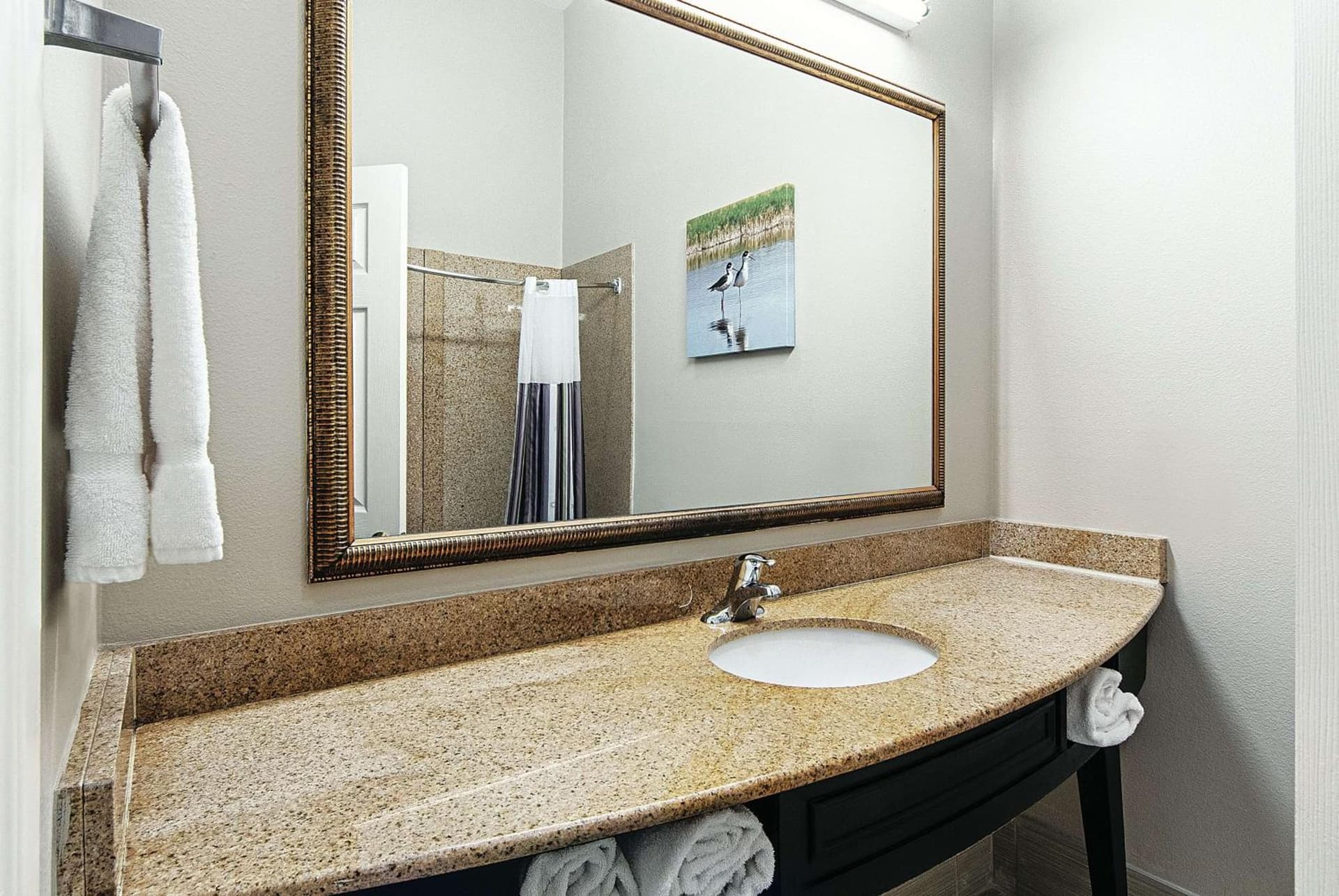 La Quinta by Wyndham Alamo-McAllen East gallery photo in Alamo, TX — image 32