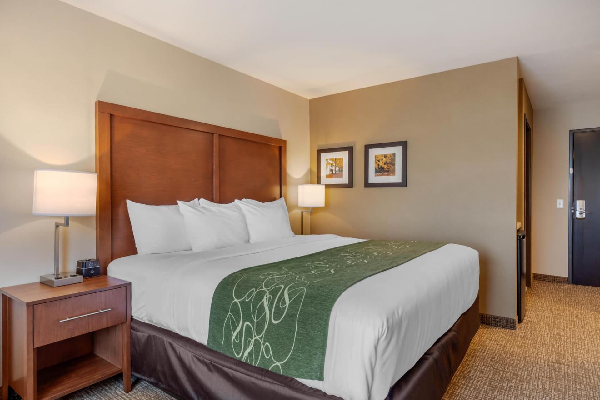 Comfort Inn & Suites Schenectady - Scotia gallery photo in Schenectady, NY — image 4