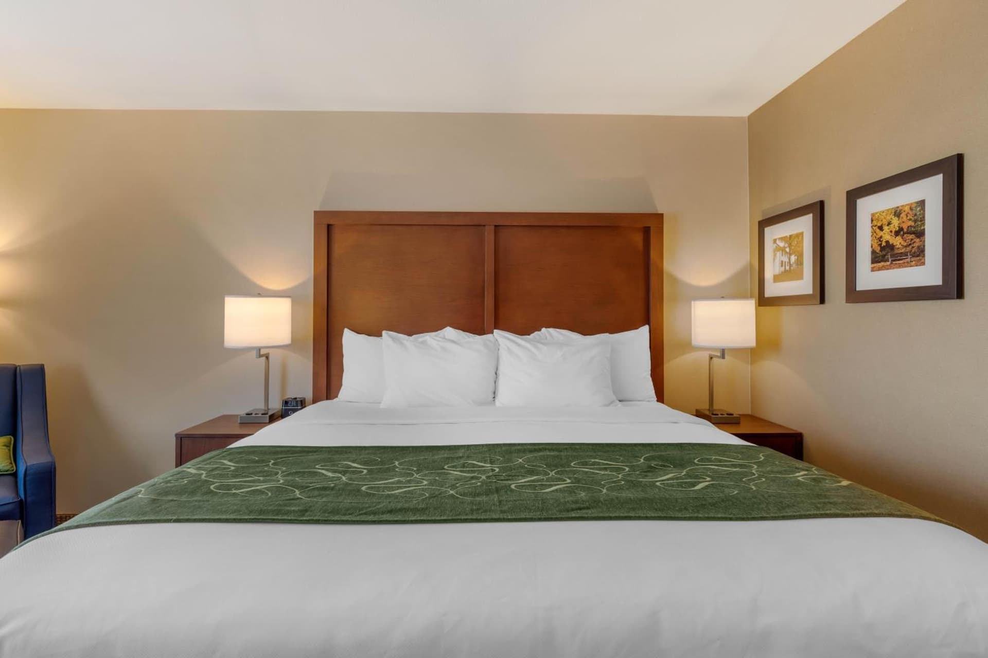 Comfort Inn & Suites Schenectady - Scotia gallery photo in Schenectady, NY — image 32