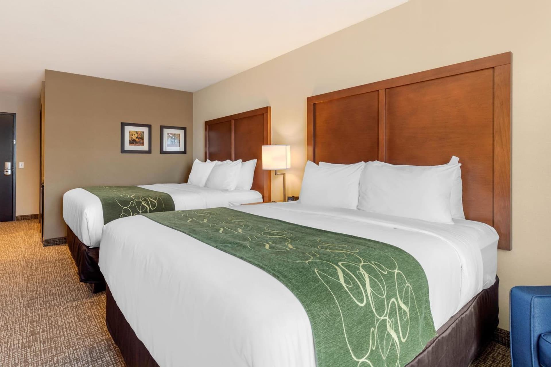 Comfort Inn & Suites Schenectady - Scotia gallery photo in Schenectady, NY — image 53