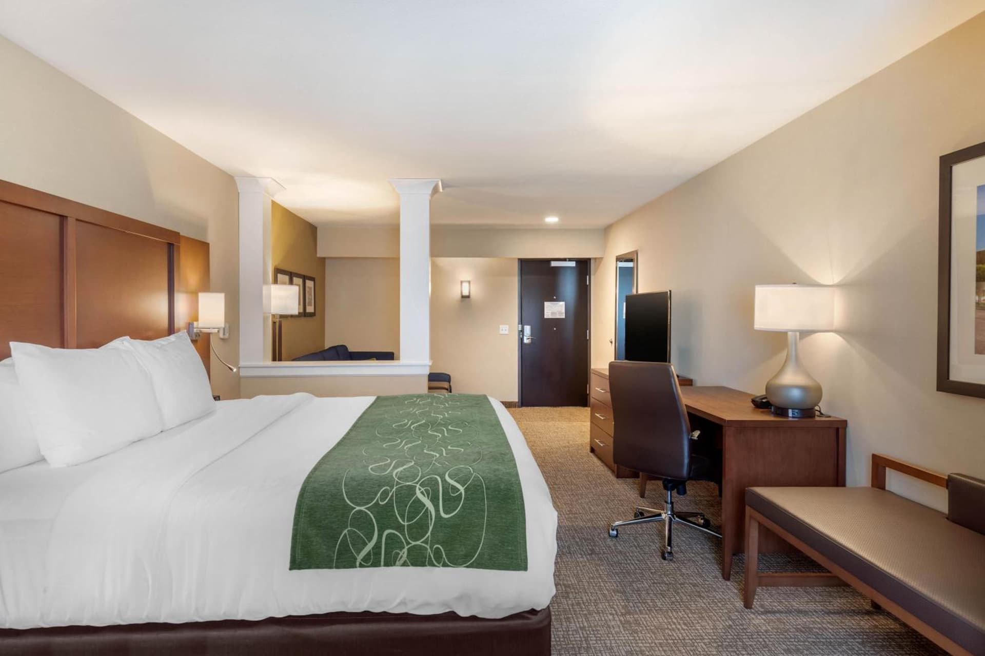 Comfort Inn & Suites Schenectady - Scotia gallery photo in Schenectady, NY — image 23