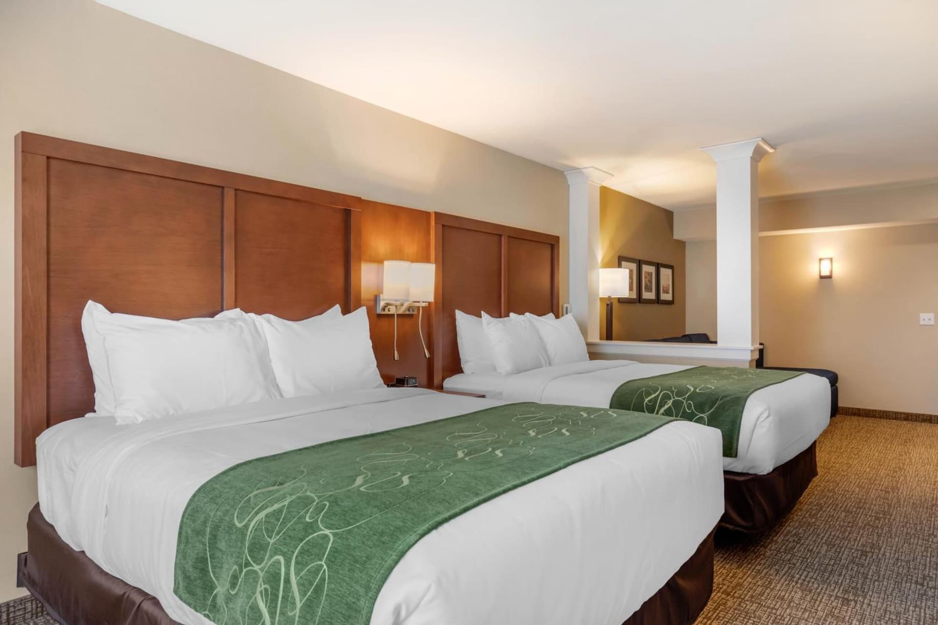 Comfort Inn & Suites Schenectady - Scotia gallery photo in Schenectady, NY — image 43