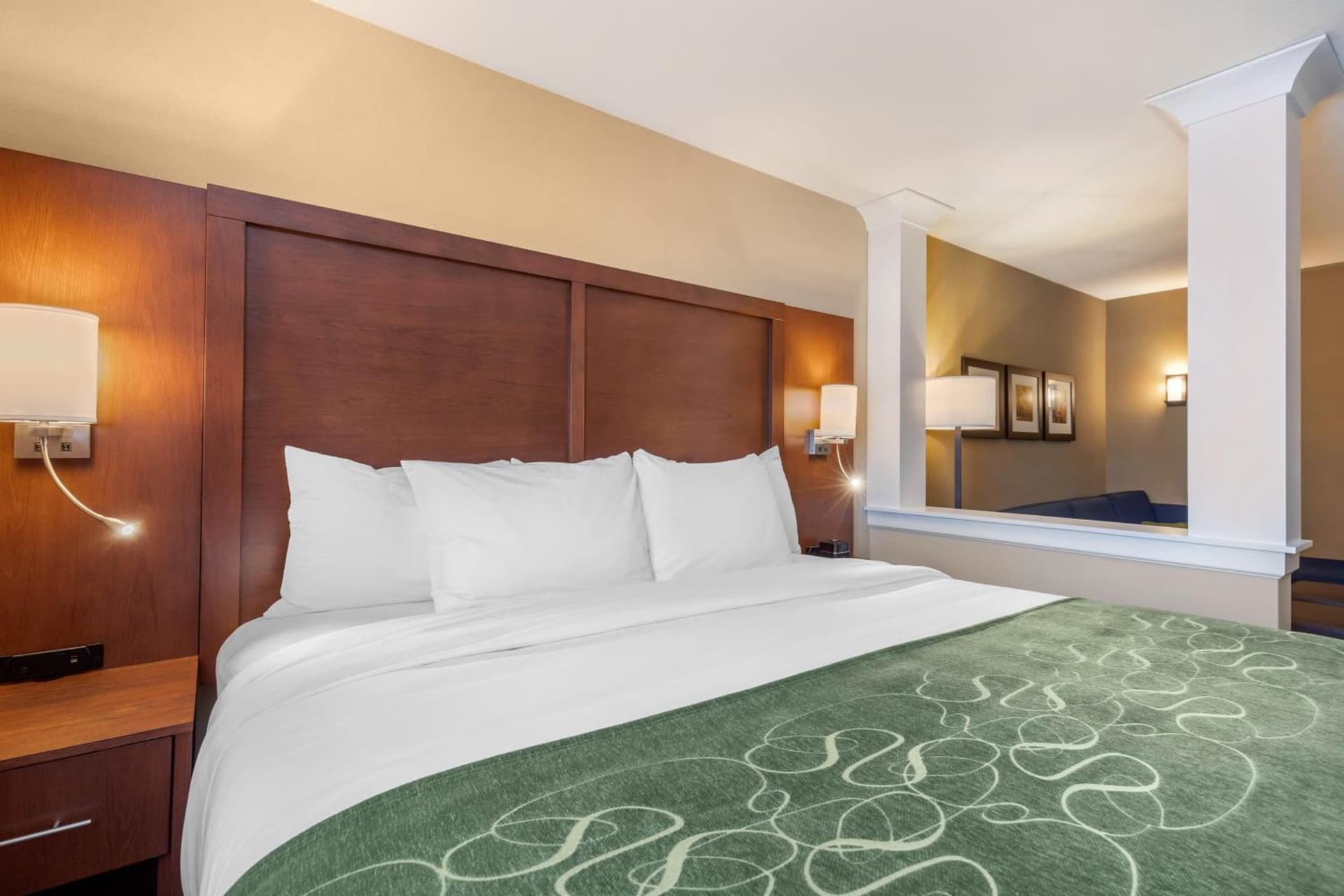 Comfort Inn & Suites Schenectady - Scotia gallery photo in Schenectady, NY — image 36