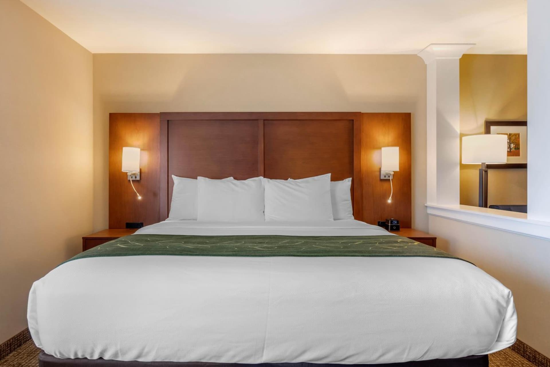 Comfort Inn & Suites Schenectady - Scotia gallery photo in Schenectady, NY — image 14