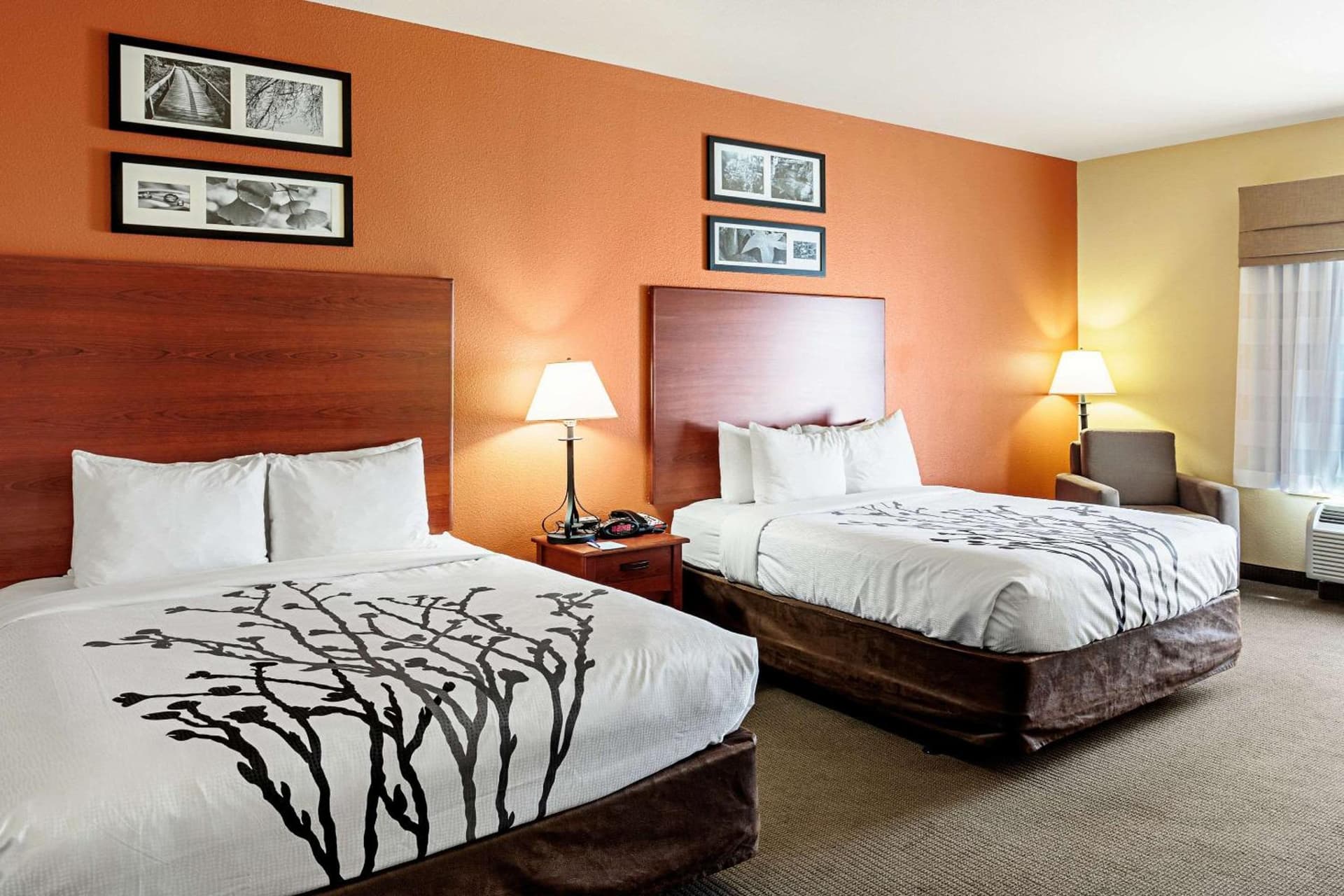 Sleep Inn & Suites Tyler South property views in Tyler, TX — gallery photo 3