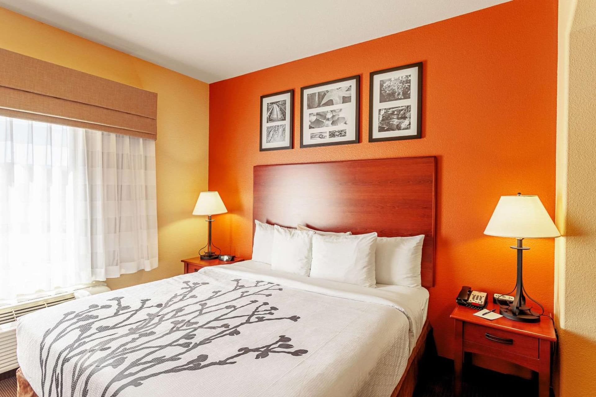 Sleep Inn & Suites Tyler South gallery photo in Tyler, TX — image 26