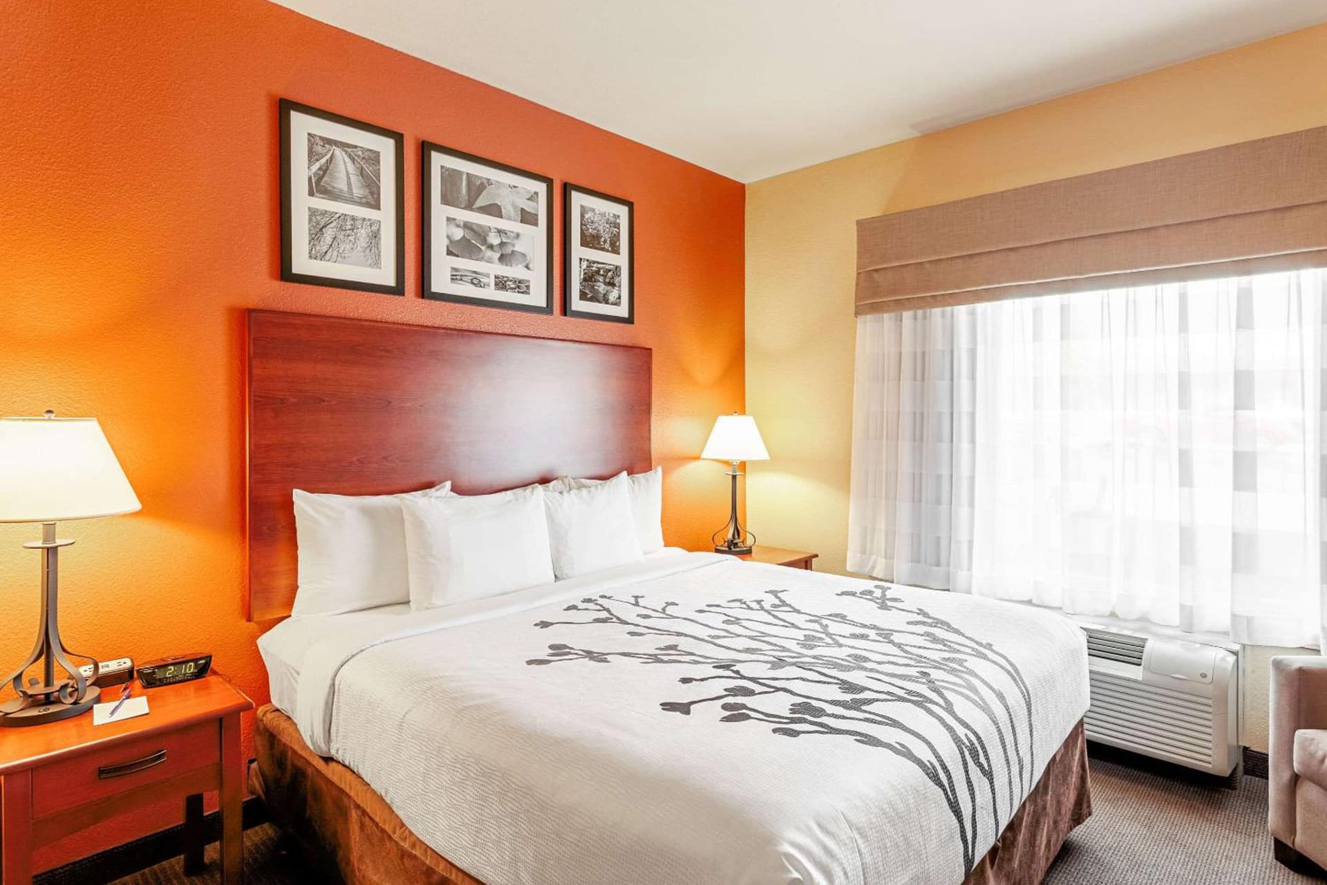 Sleep Inn & Suites Tyler South gallery photo in Tyler, TX — image 33