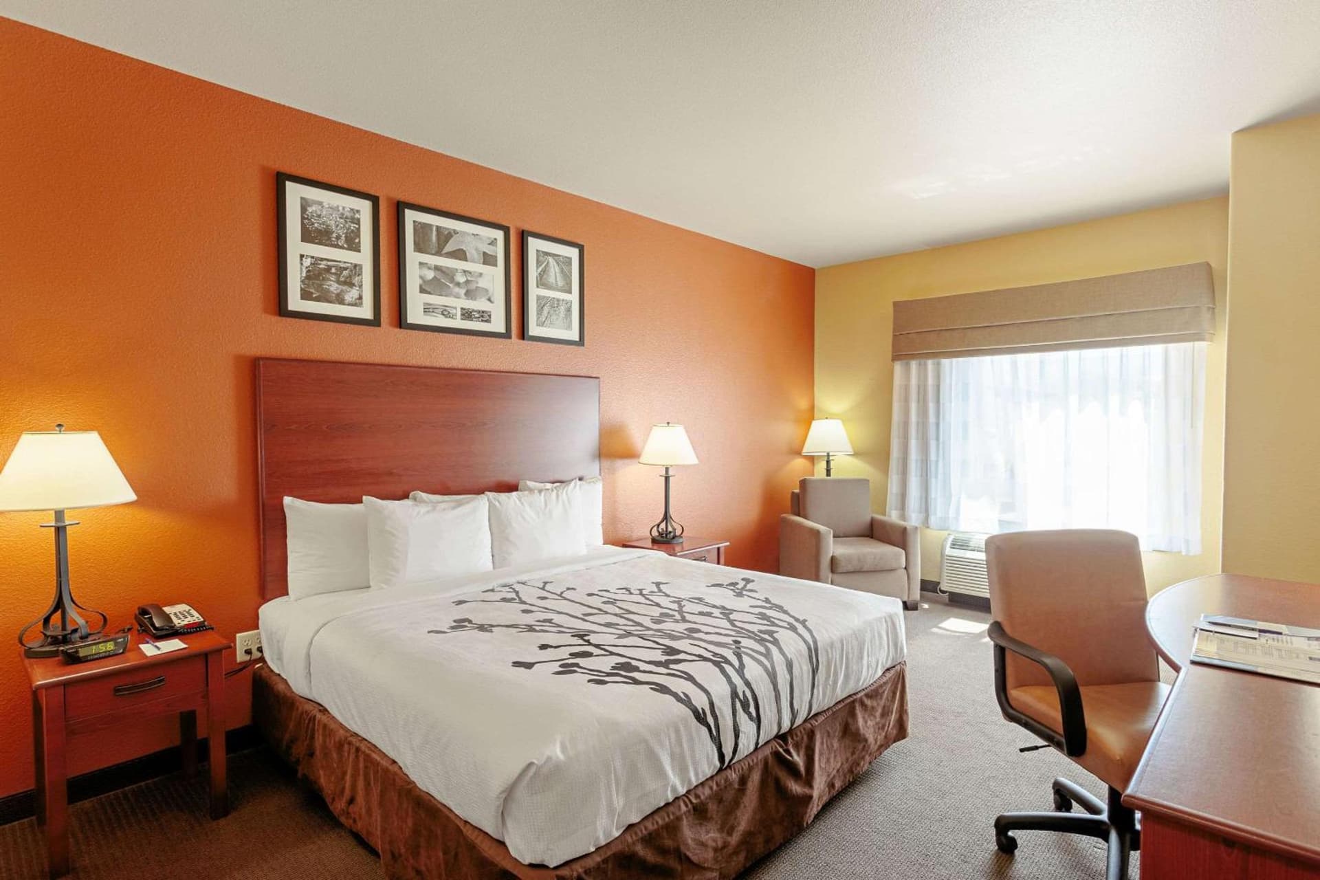 Sleep Inn & Suites Tyler South gallery photo in Tyler, TX — image 6