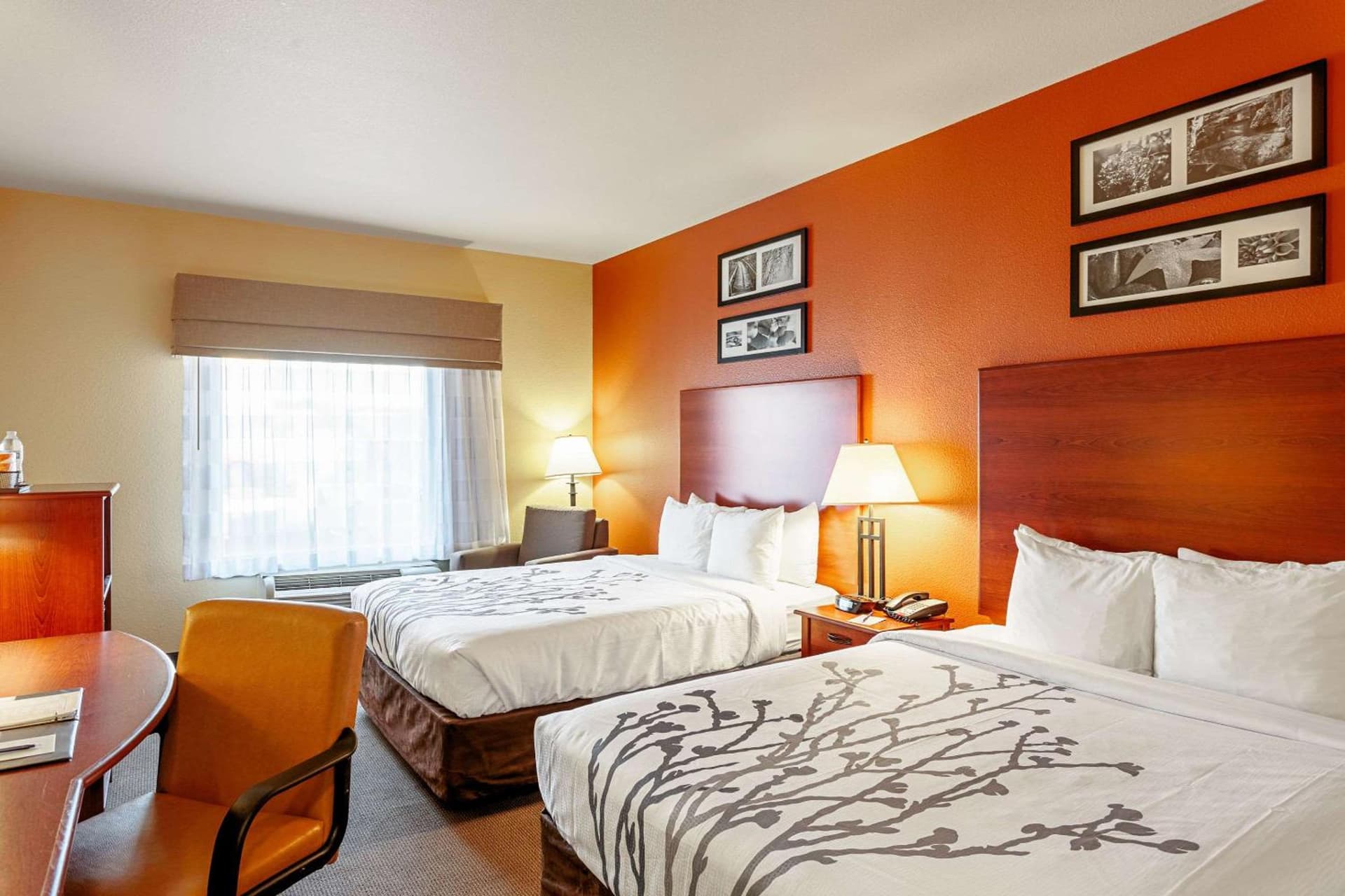 Sleep Inn & Suites Tyler South gallery photo in Tyler, TX — image 30