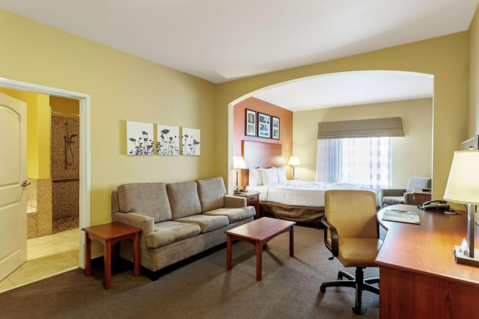 Sleep Inn & Suites Tyler South gallery photo in Tyler, TX — image 13