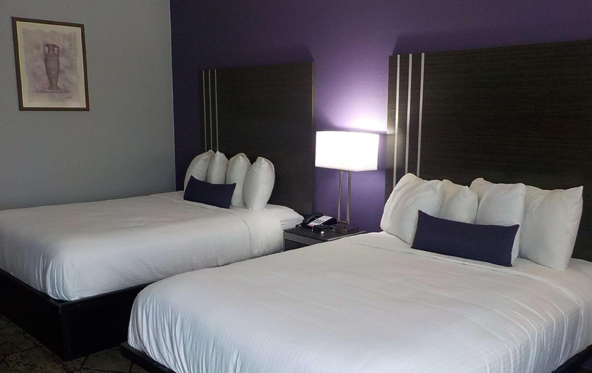 SureStay Plus Hotel by Best Western Warner Robins AFB gallery photo in Warner Robins, GA — image 35