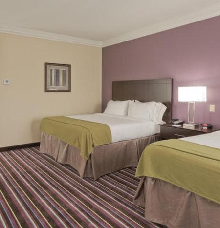 Holiday Inn Express & Suites Raceland - Highway 90 by IHG gallery photo in Raceland, LA — image 6