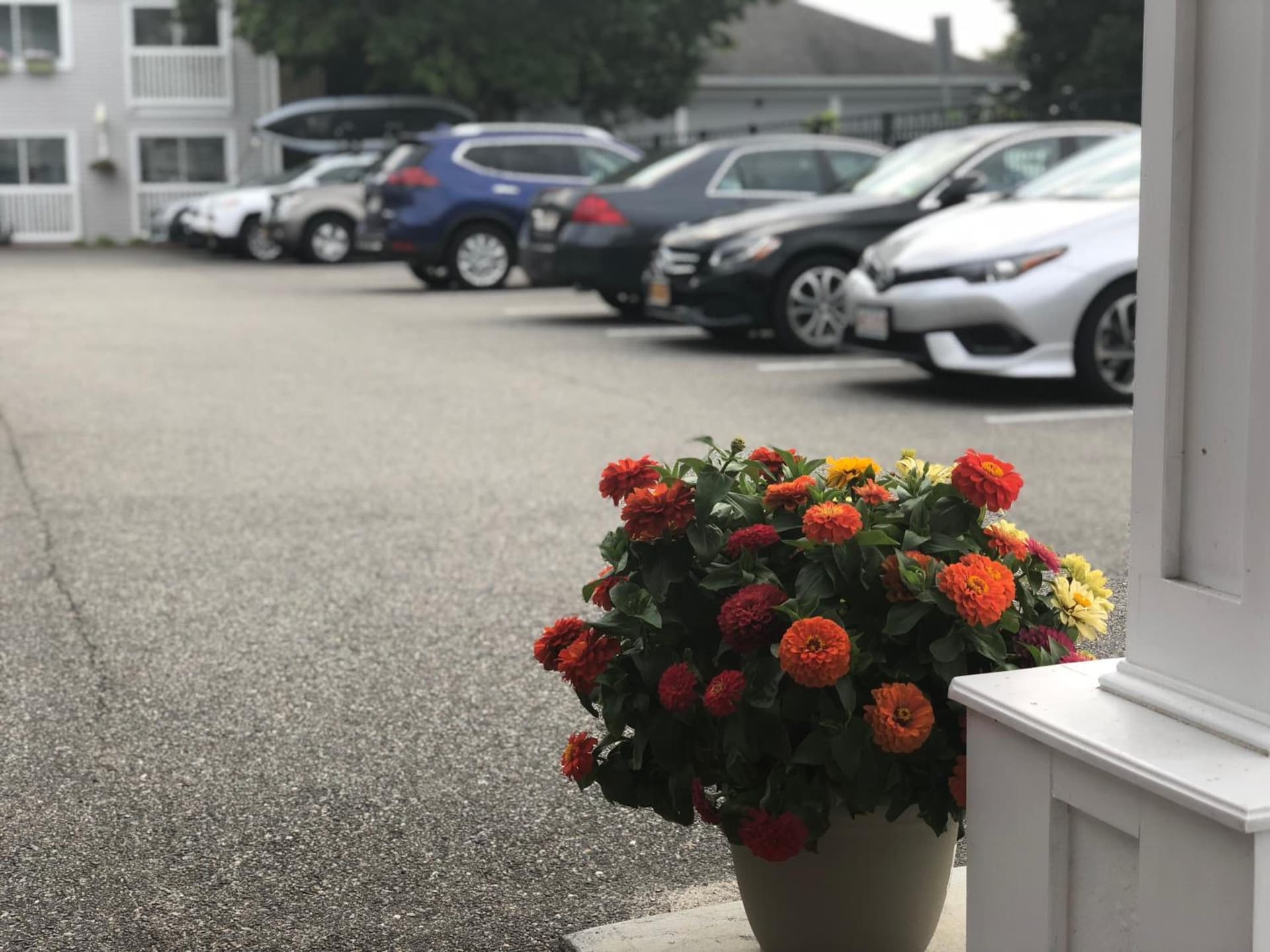 SeaCoast Inn gallery photo in Hyannis — image 20