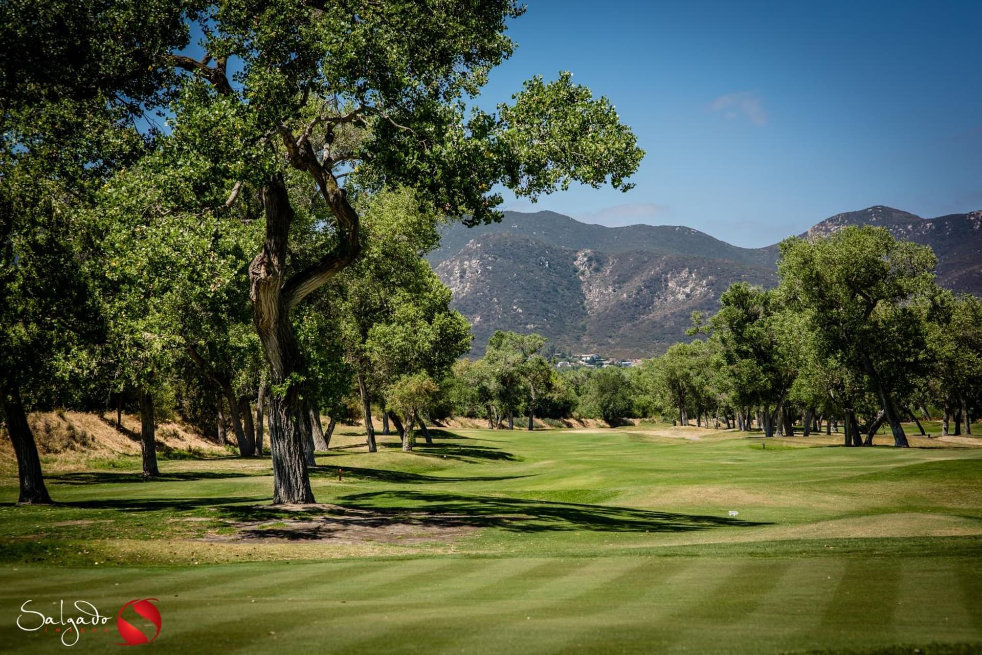 Carlton Oaks Lodge, an Ascend Collection Hotel gallery photo in Santee, CA — image 10