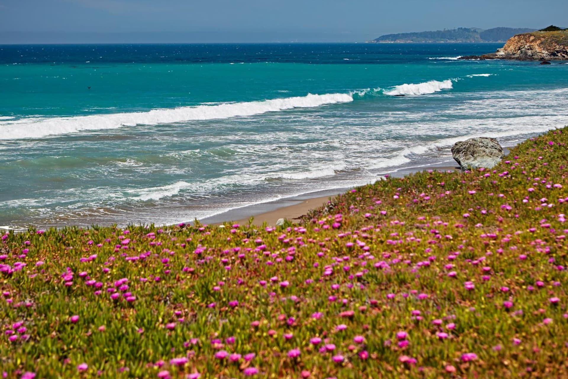 Cavalier Oceanfront Resort gallery photo in San Simeon, CA — image 23