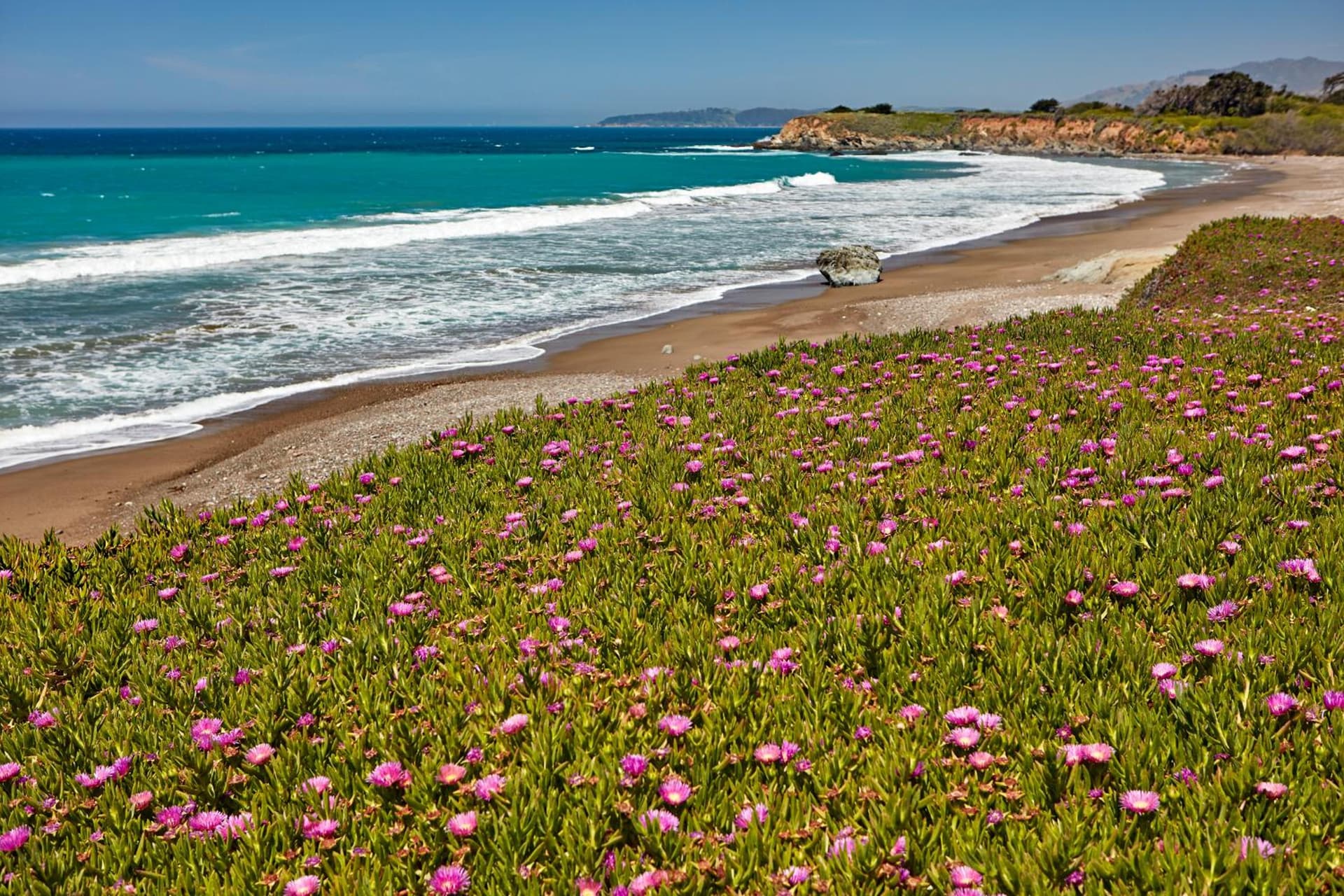 Cavalier Oceanfront Resort gallery photo in San Simeon, CA — image 12