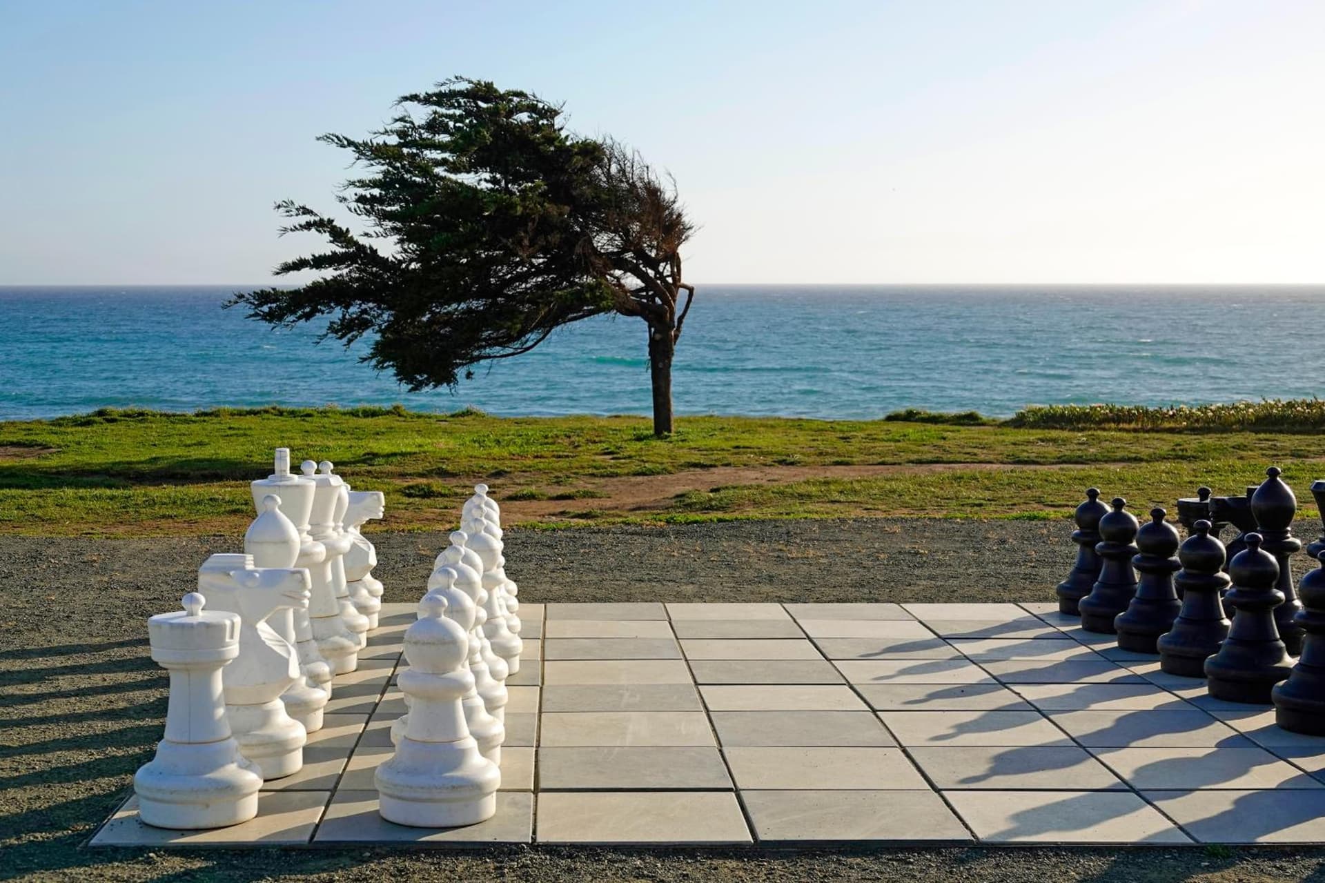Cavalier Oceanfront Resort gallery photo in San Simeon, CA — image 10