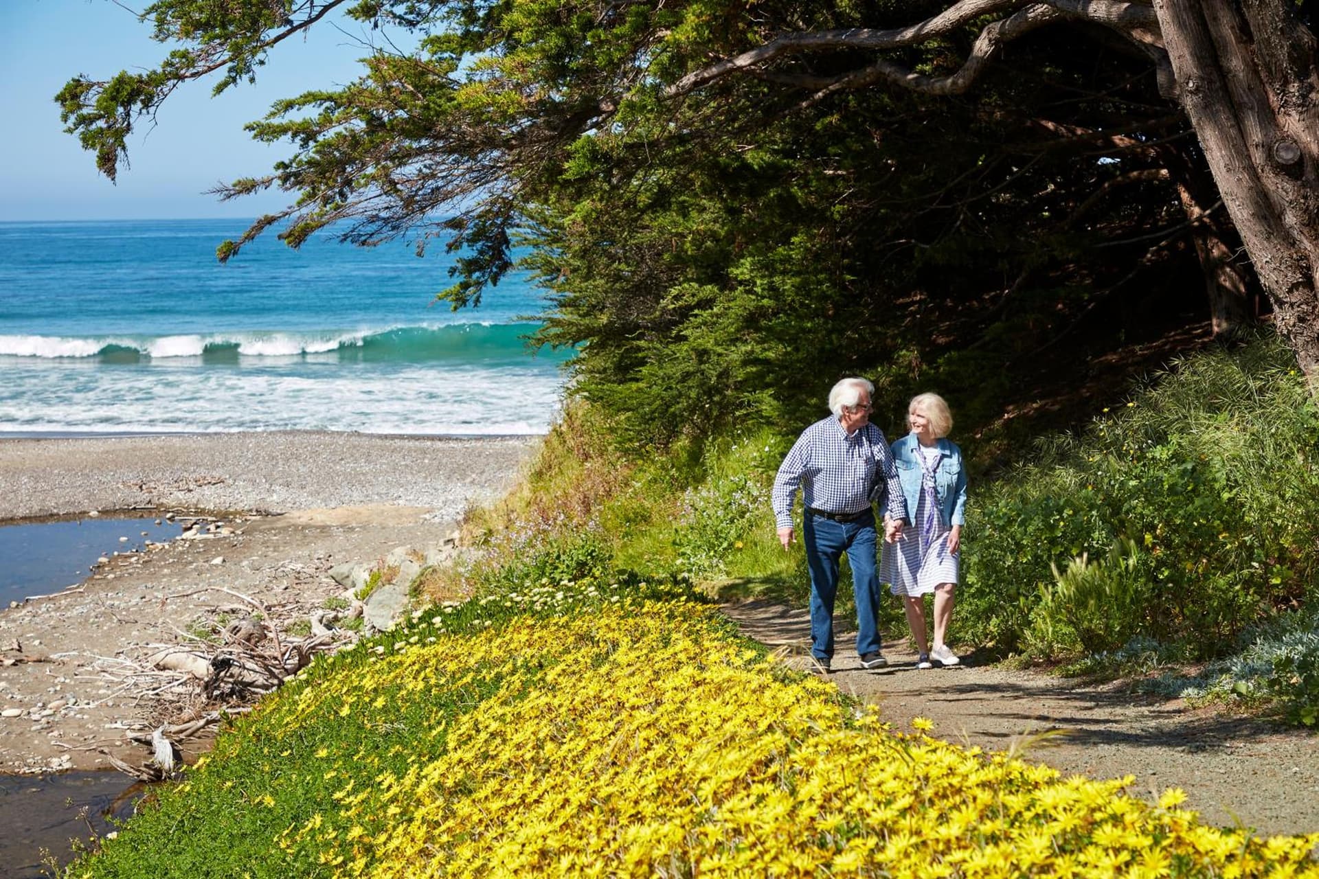 Cavalier Oceanfront Resort gallery photo in San Simeon, CA — image 22