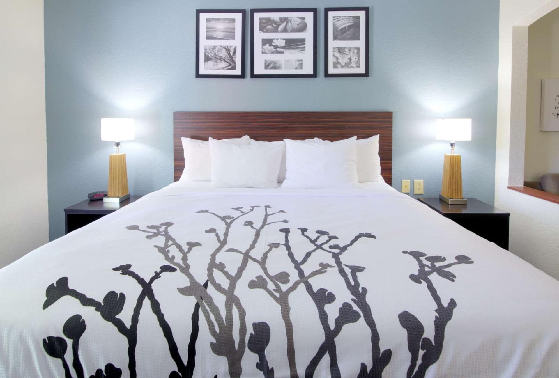 Sleep Inn & Suites Chesapeake - Portsmouth gallery photo in Chesapeake, VA — image 34