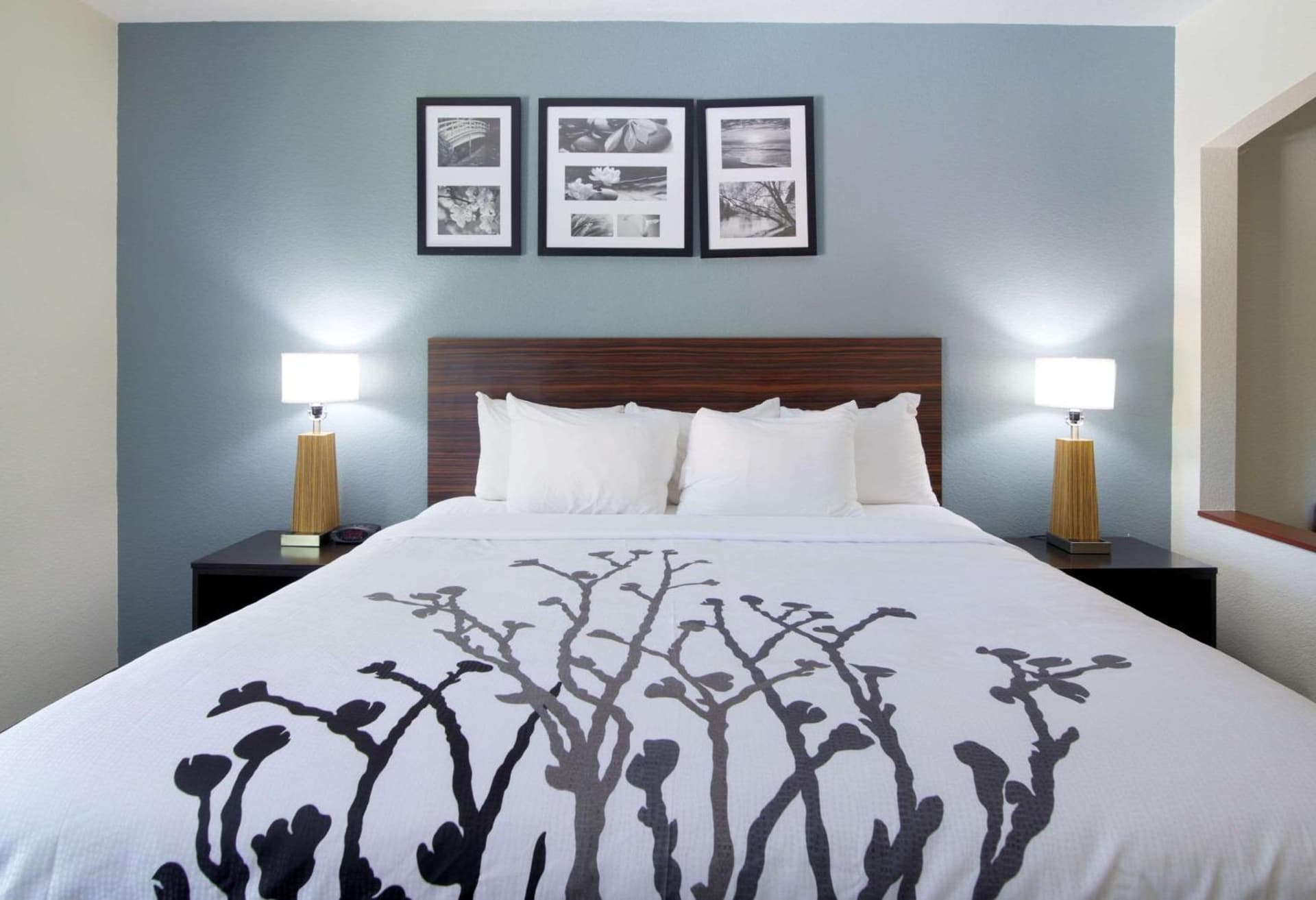 Sleep Inn & Suites Chesapeake - Portsmouth interior in Chesapeake, VA — gallery photo 2