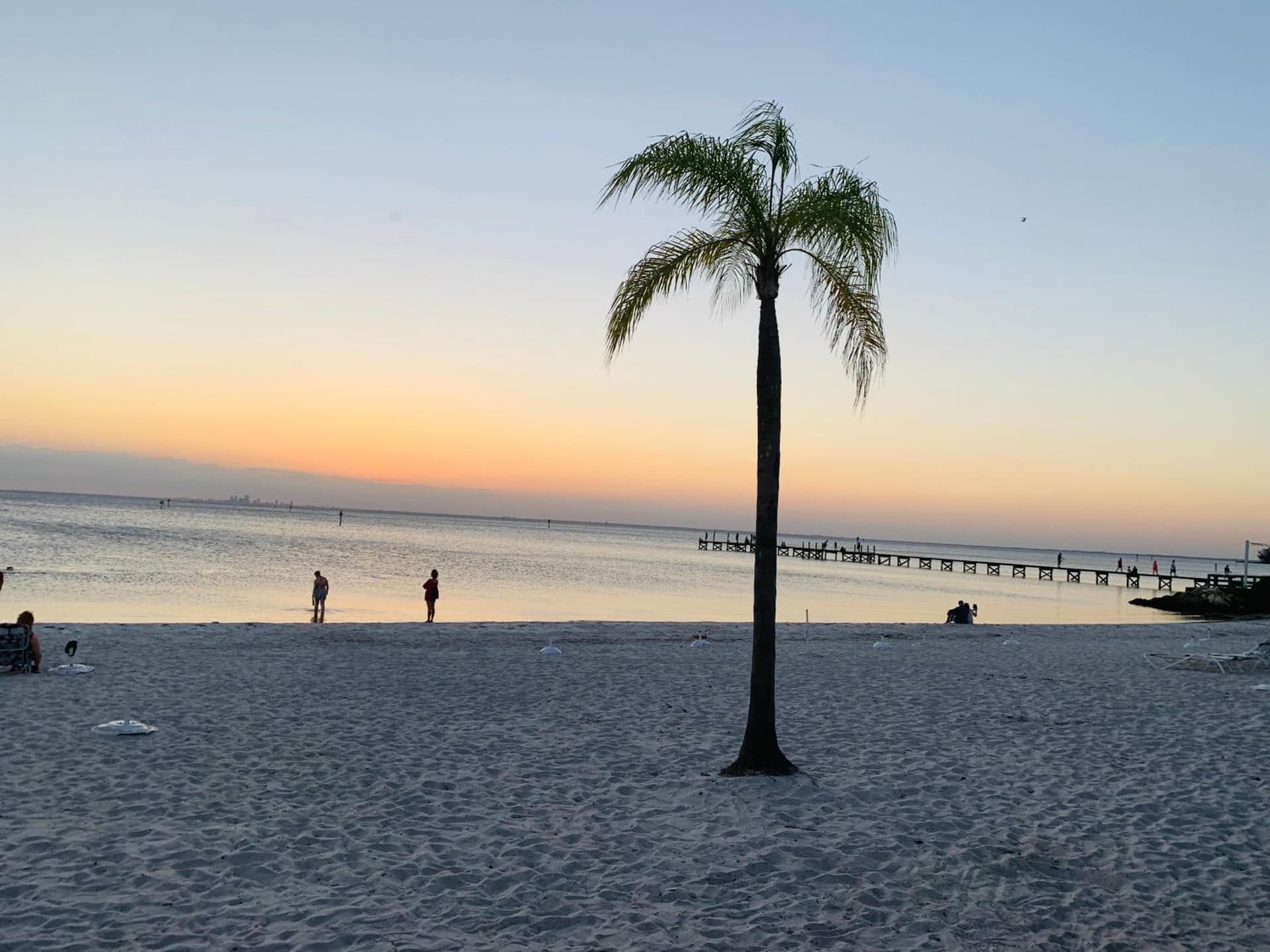 TAMPA BAY, BEACH step away, WIFI, FREE PARKING,POOLS, JACUZZI gallery photo in Ruskin, FL — image 43