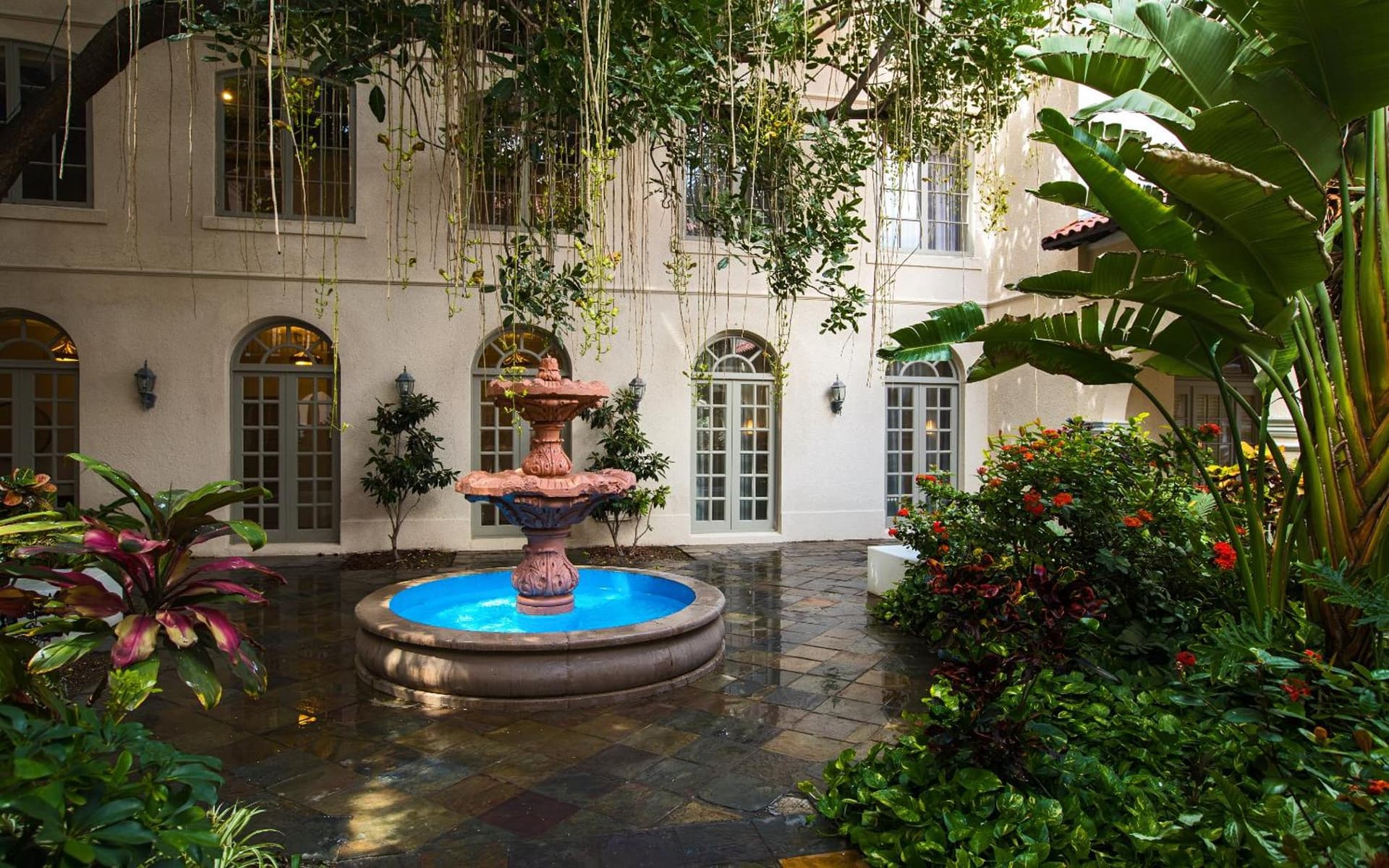 Casa De Palmas, Trademark Collection by Wyndham gallery photo in McAllen, TX — image 50