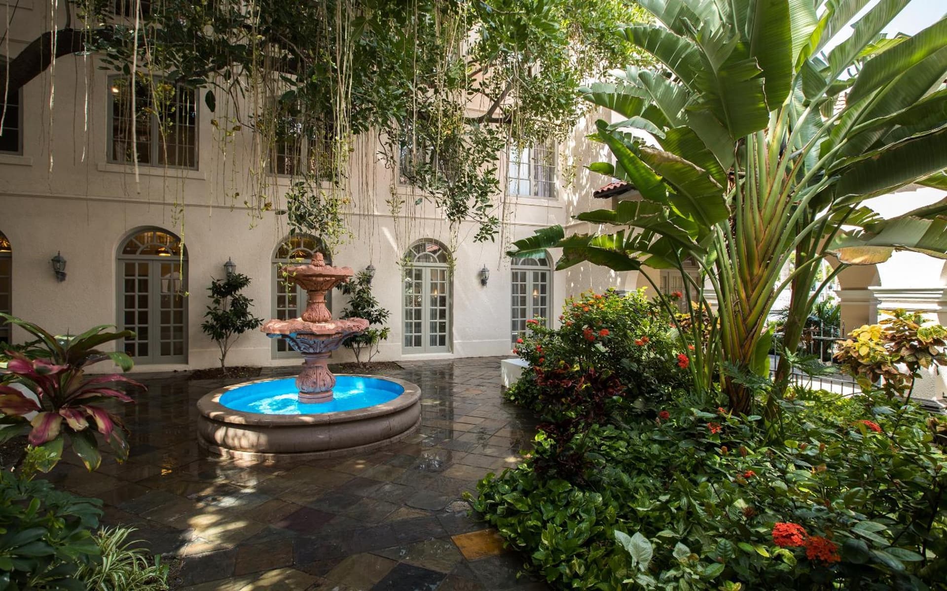 Casa De Palmas, Trademark Collection by Wyndham gallery photo in McAllen, TX — image 6