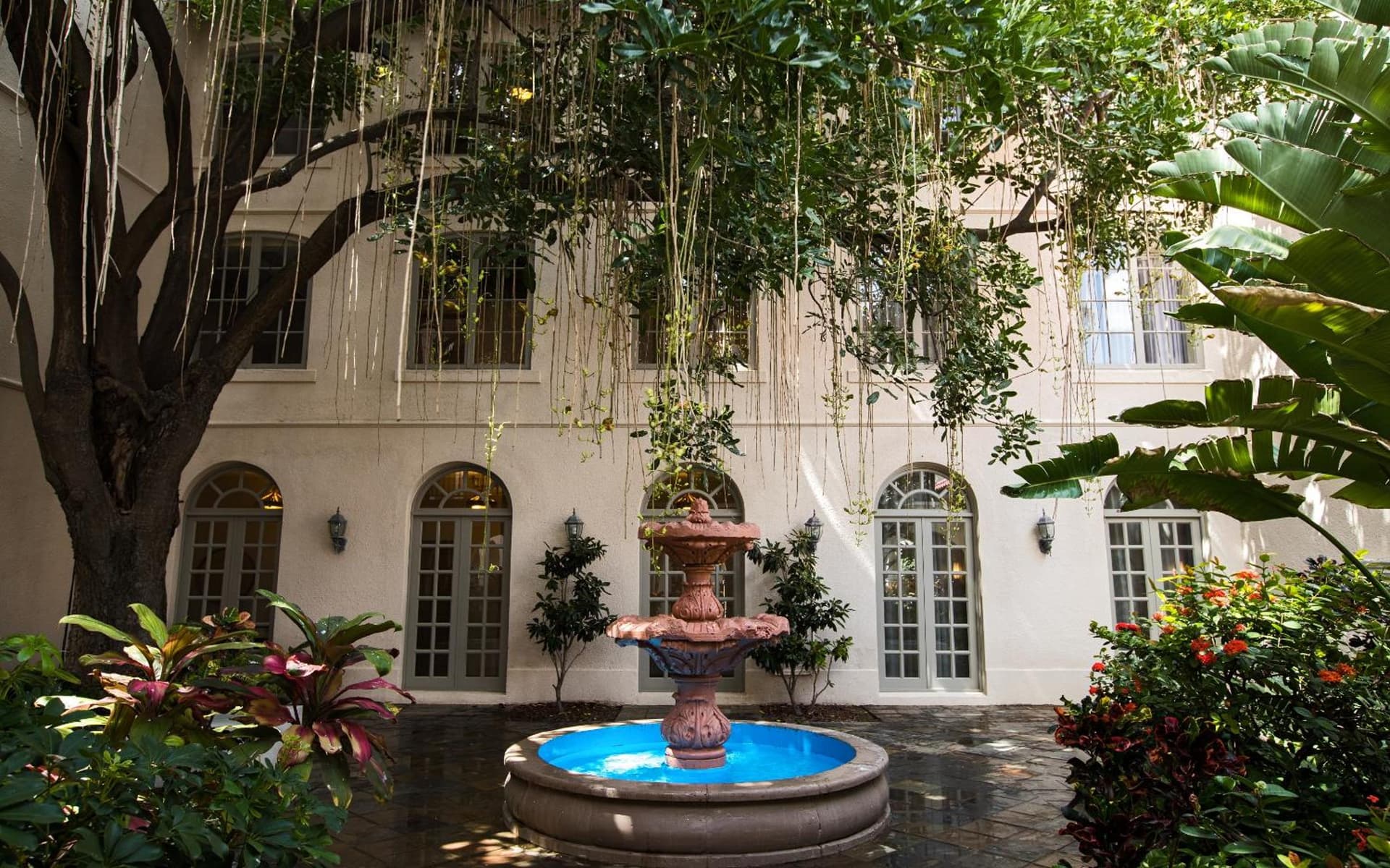 Casa De Palmas, Trademark Collection by Wyndham gallery photo in McAllen, TX — image 54