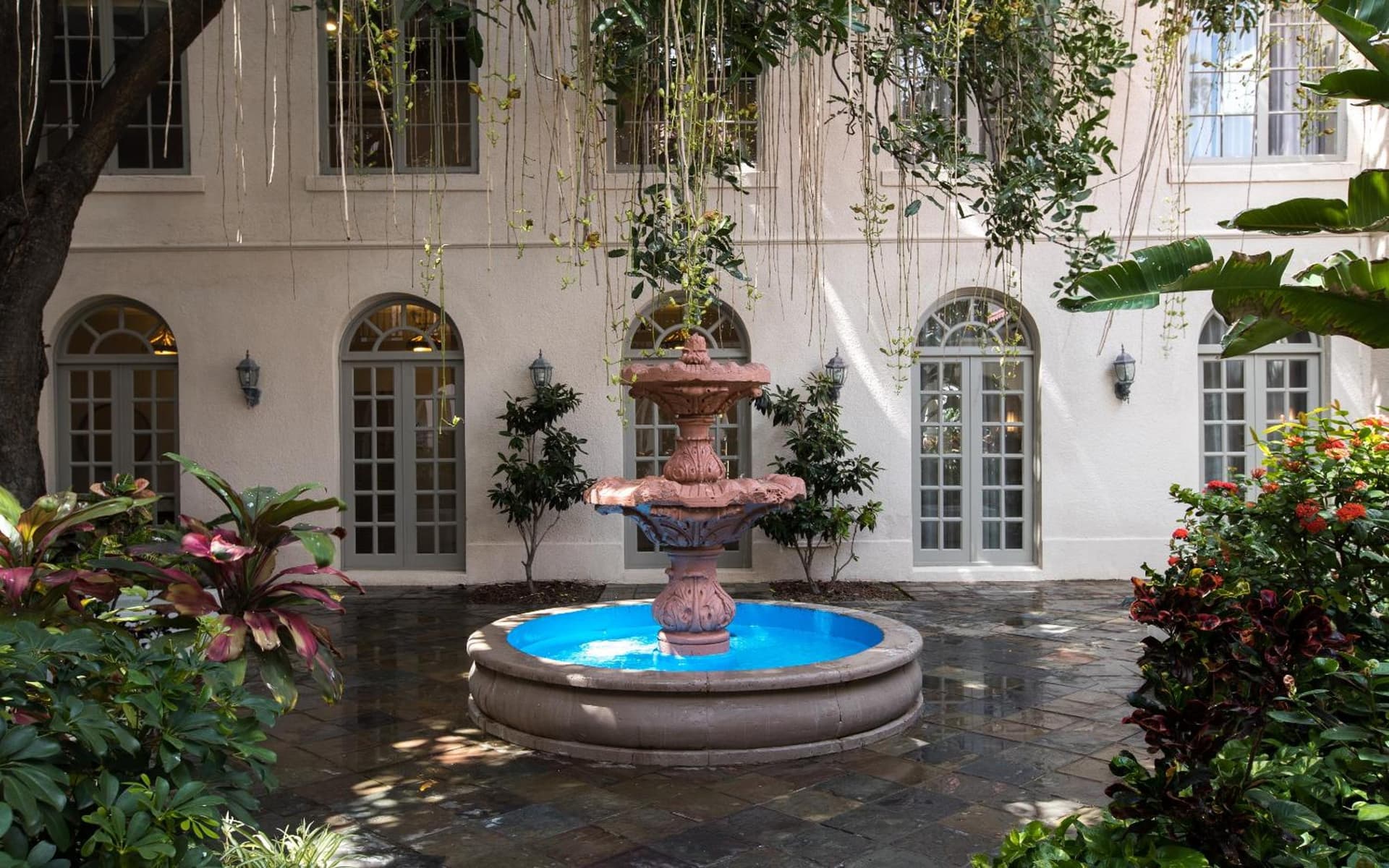 Casa De Palmas, Trademark Collection by Wyndham gallery photo in McAllen, TX — image 61