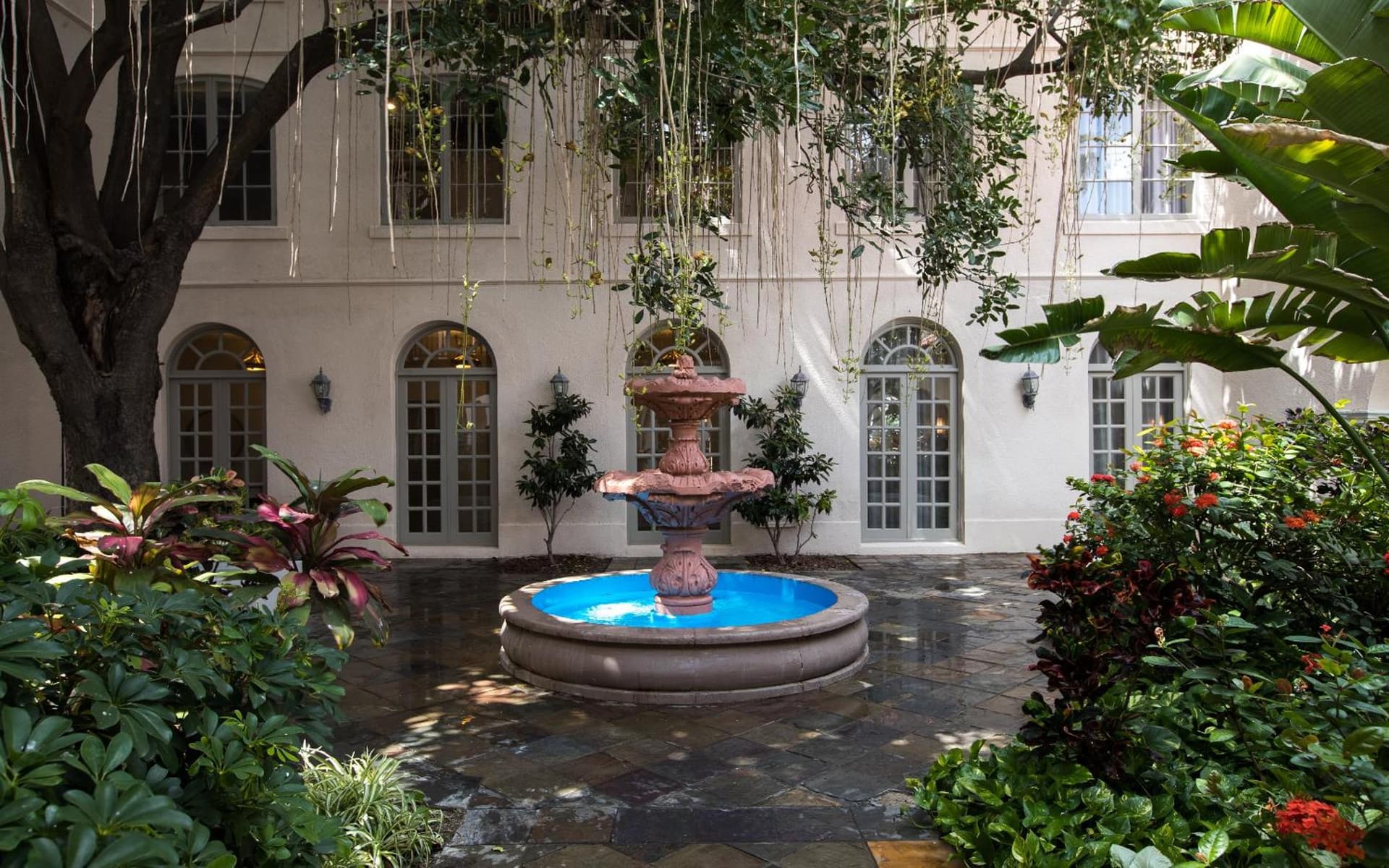 Casa De Palmas, Trademark Collection by Wyndham gallery photo in McAllen, TX — image 47