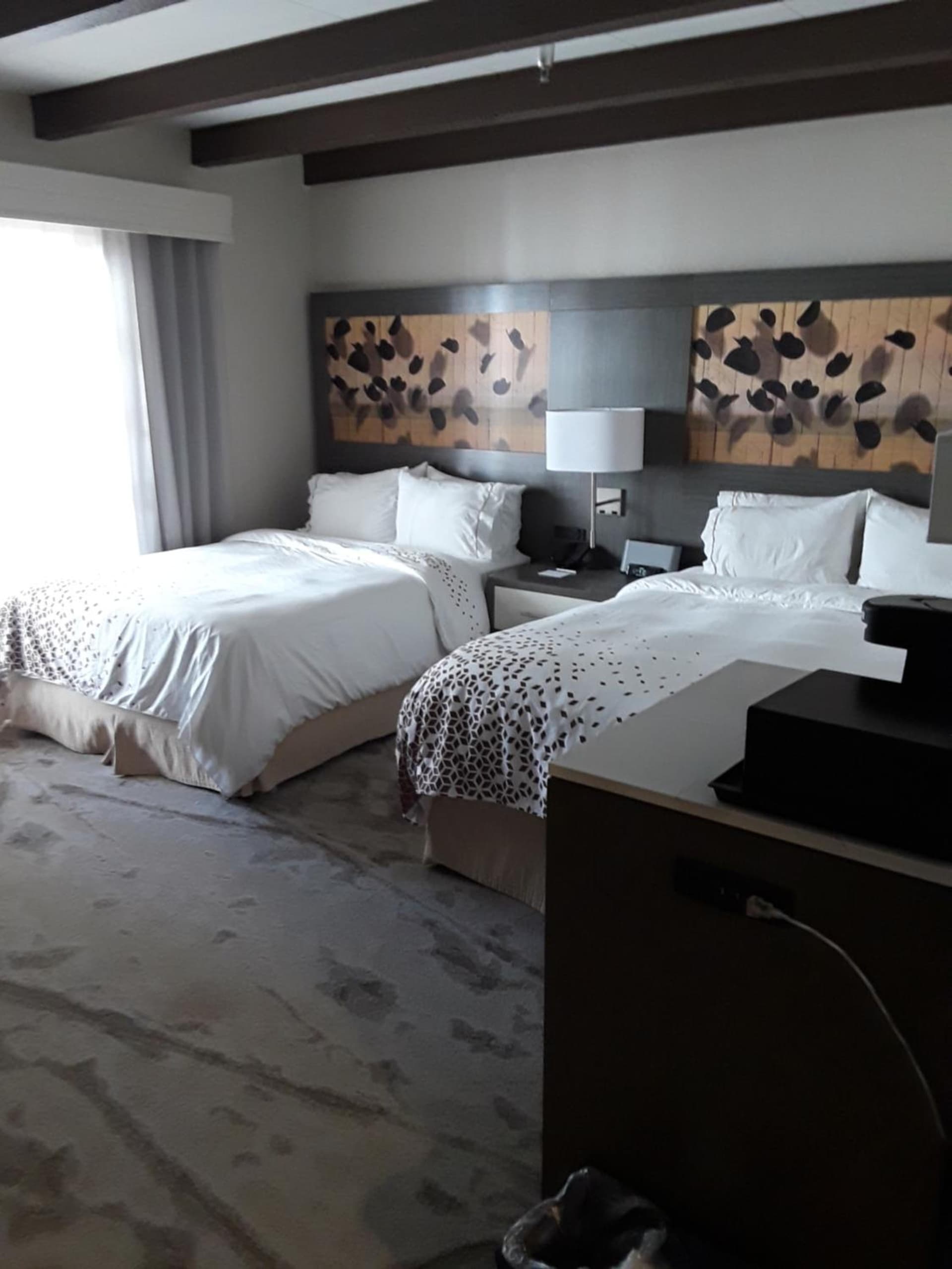 Casa De Palmas, Trademark Collection by Wyndham gallery photo in McAllen, TX — image 78