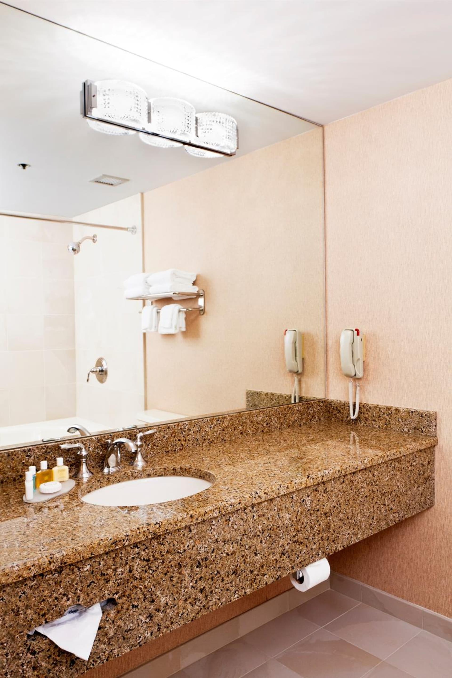 Ann Arbor Regent Hotel and Suites gallery photo in Ann Arbor, MI — image 12